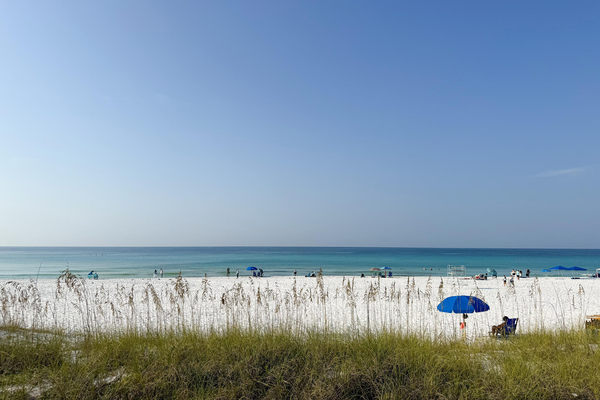 73 Dune Drive Santa Rosa Beach FL 32459