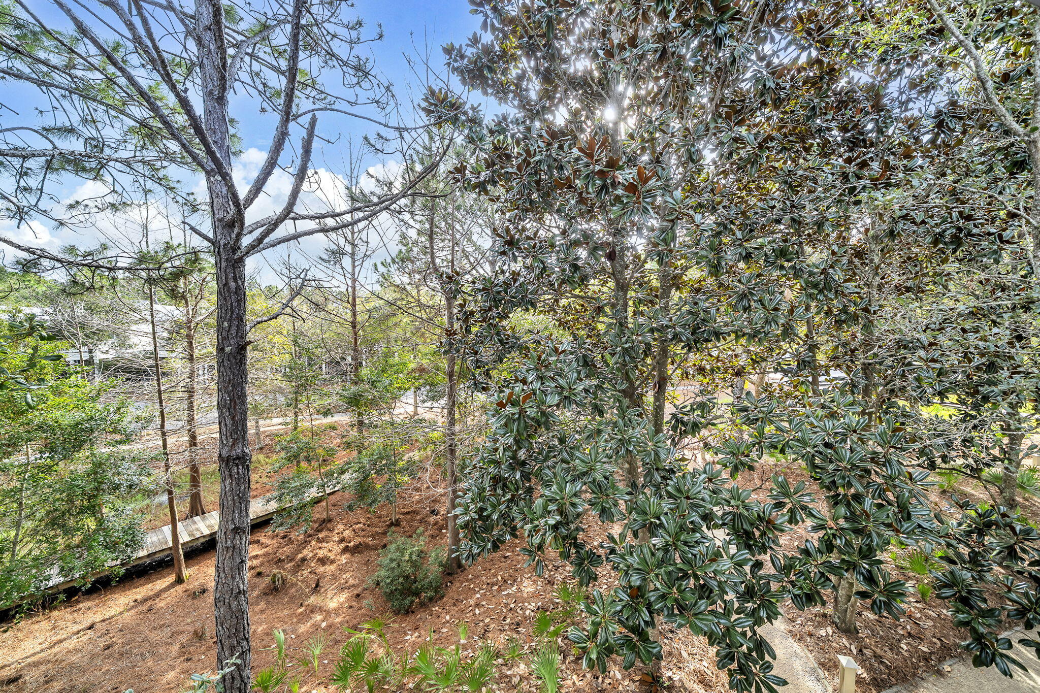 97 E Summersweet Lane Santa Rosa Beach FL 32459