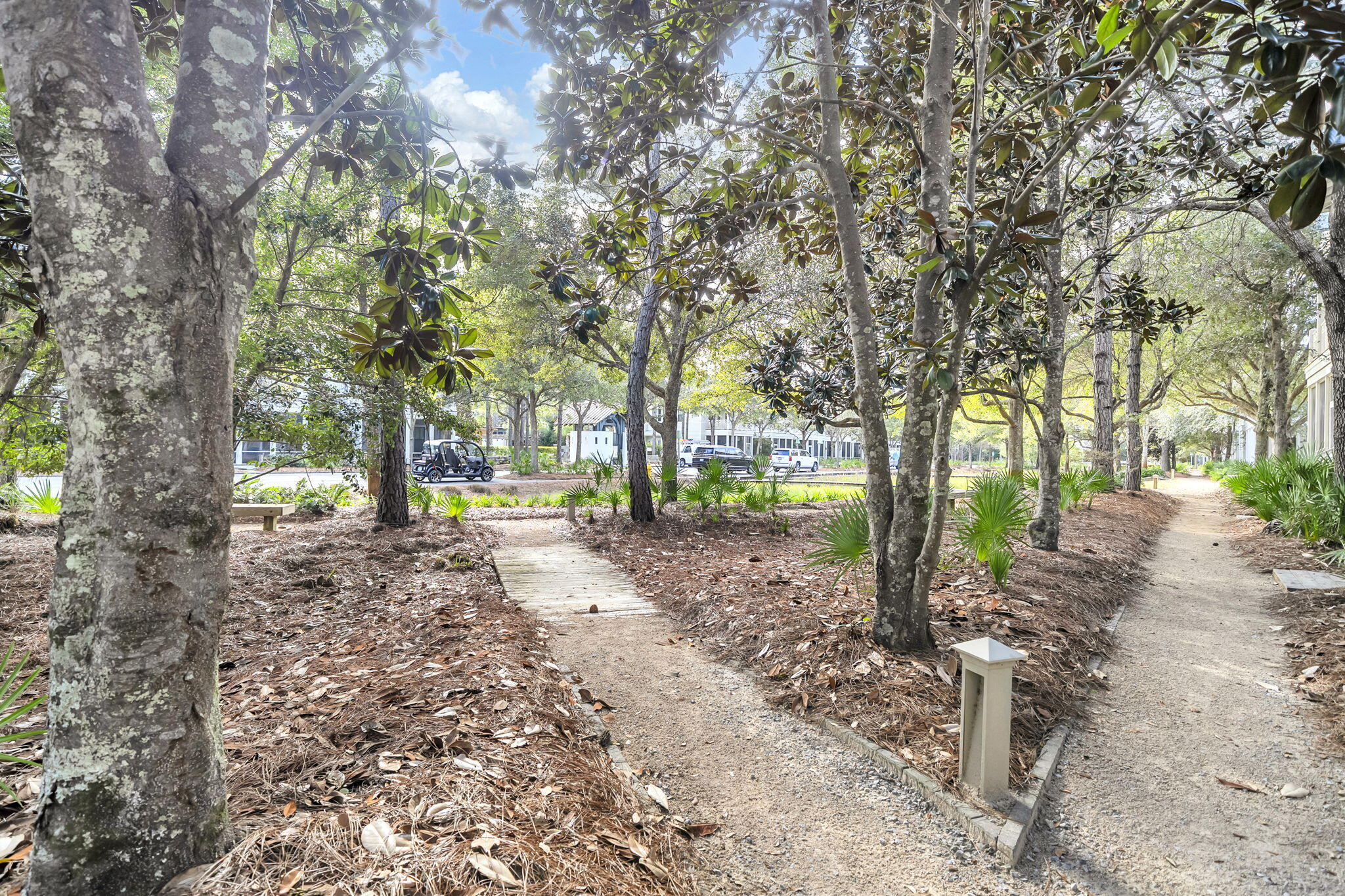 97 E Summersweet Lane Santa Rosa Beach FL 32459