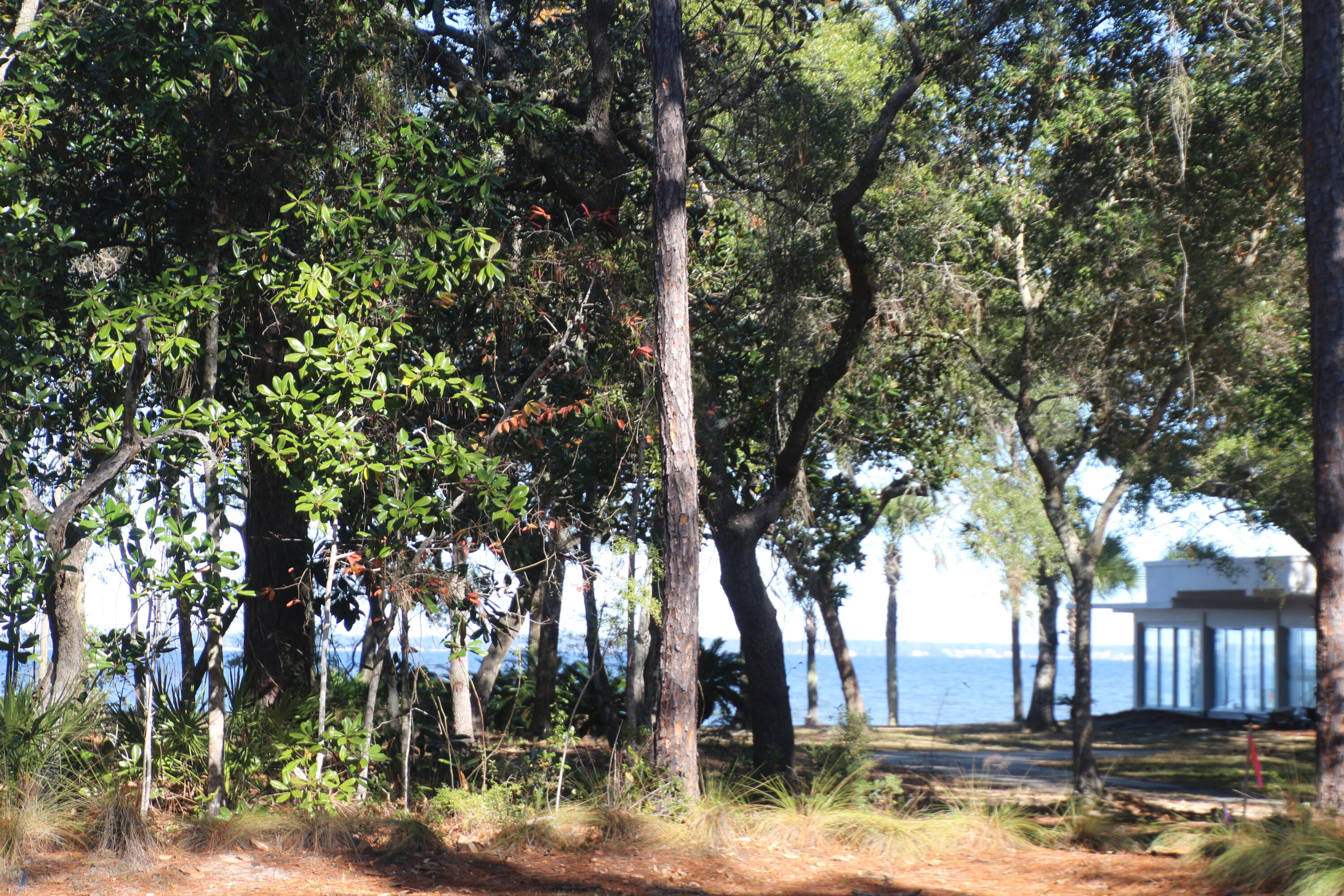 279 Smith Drive Santa Rosa Beach FL 32459