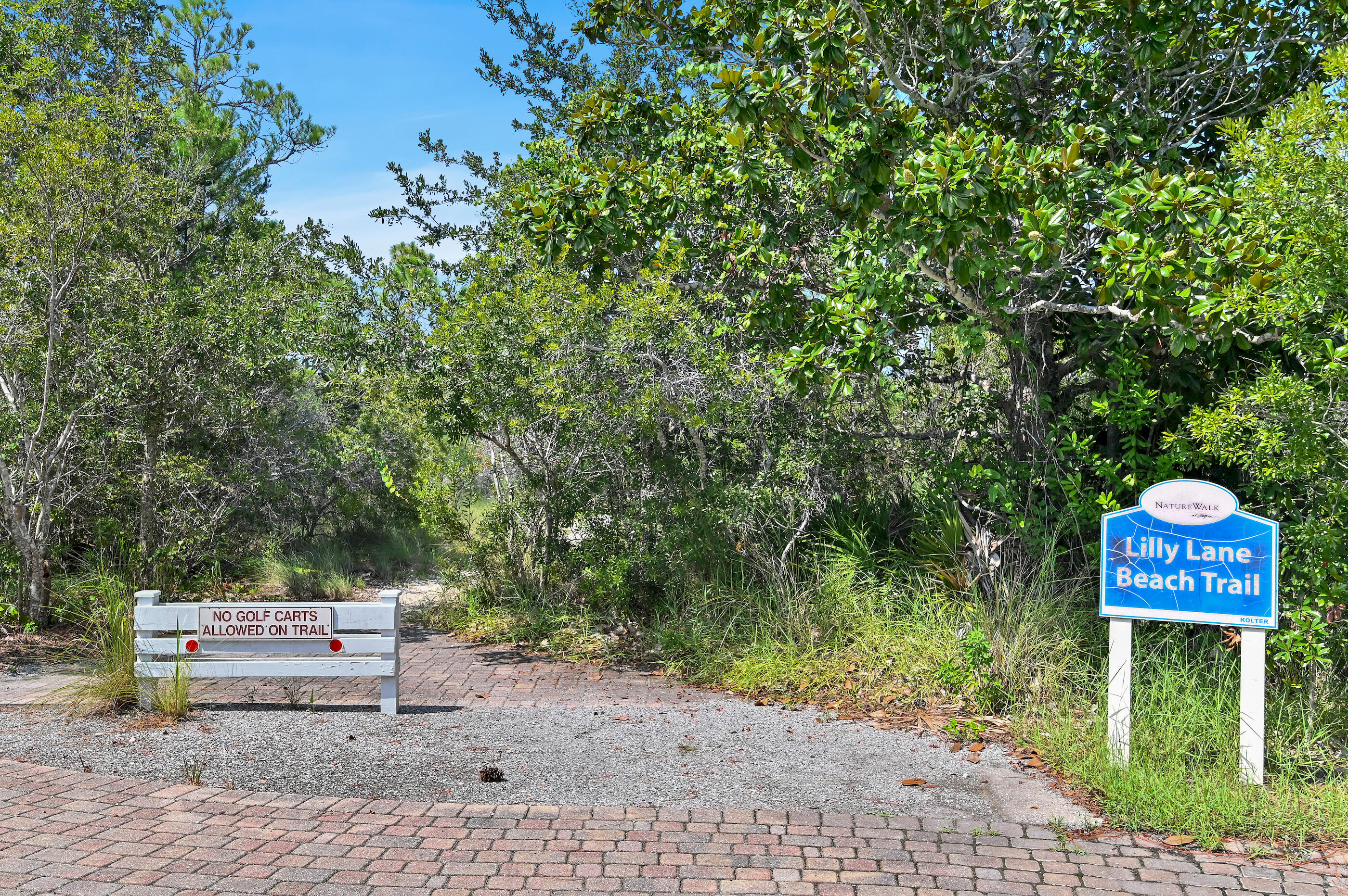 637 Flatwoods Forest Loop Santa Rosa Beach FL 32459