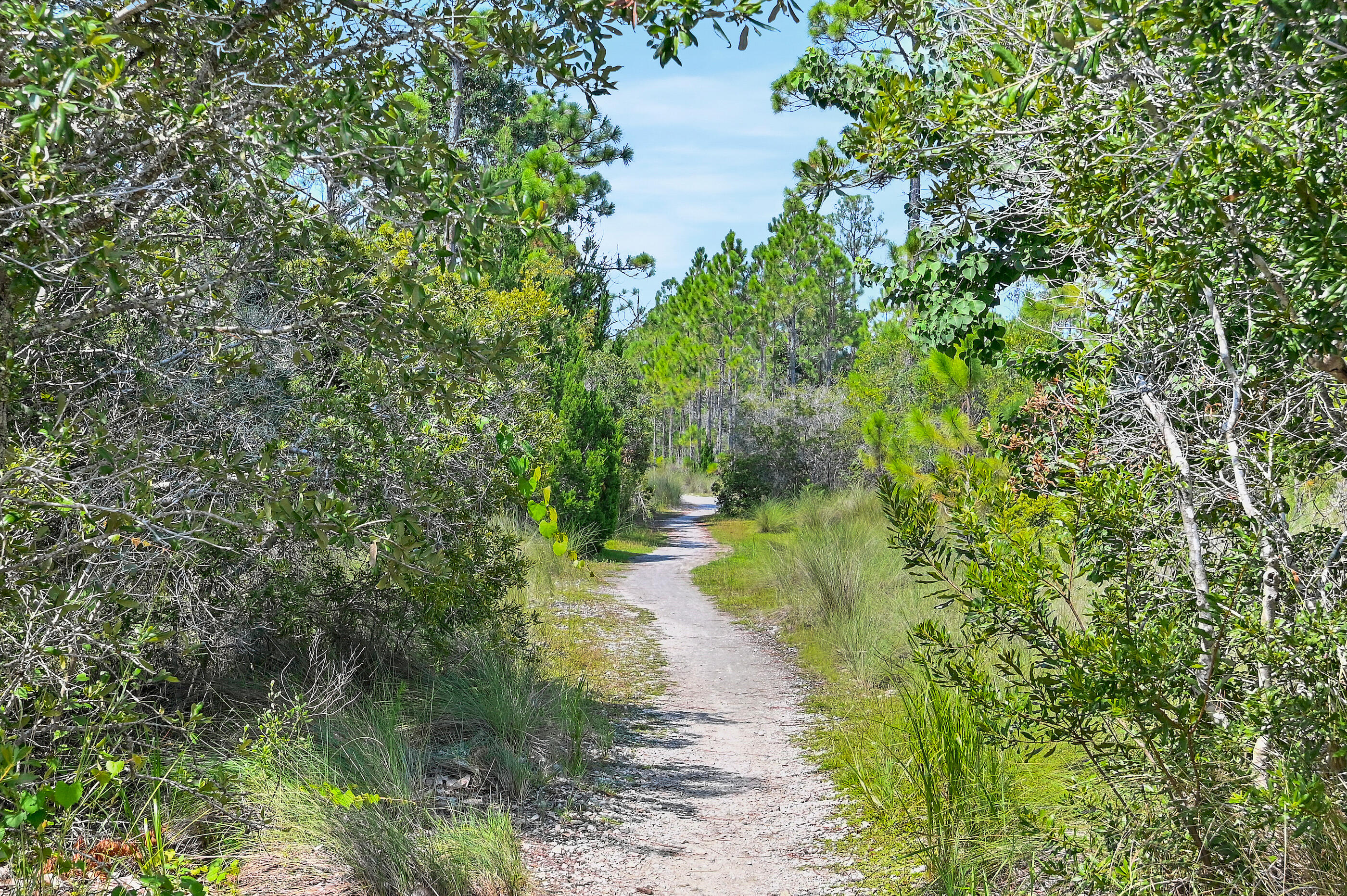 637 Flatwoods Forest Loop Santa Rosa Beach FL 32459