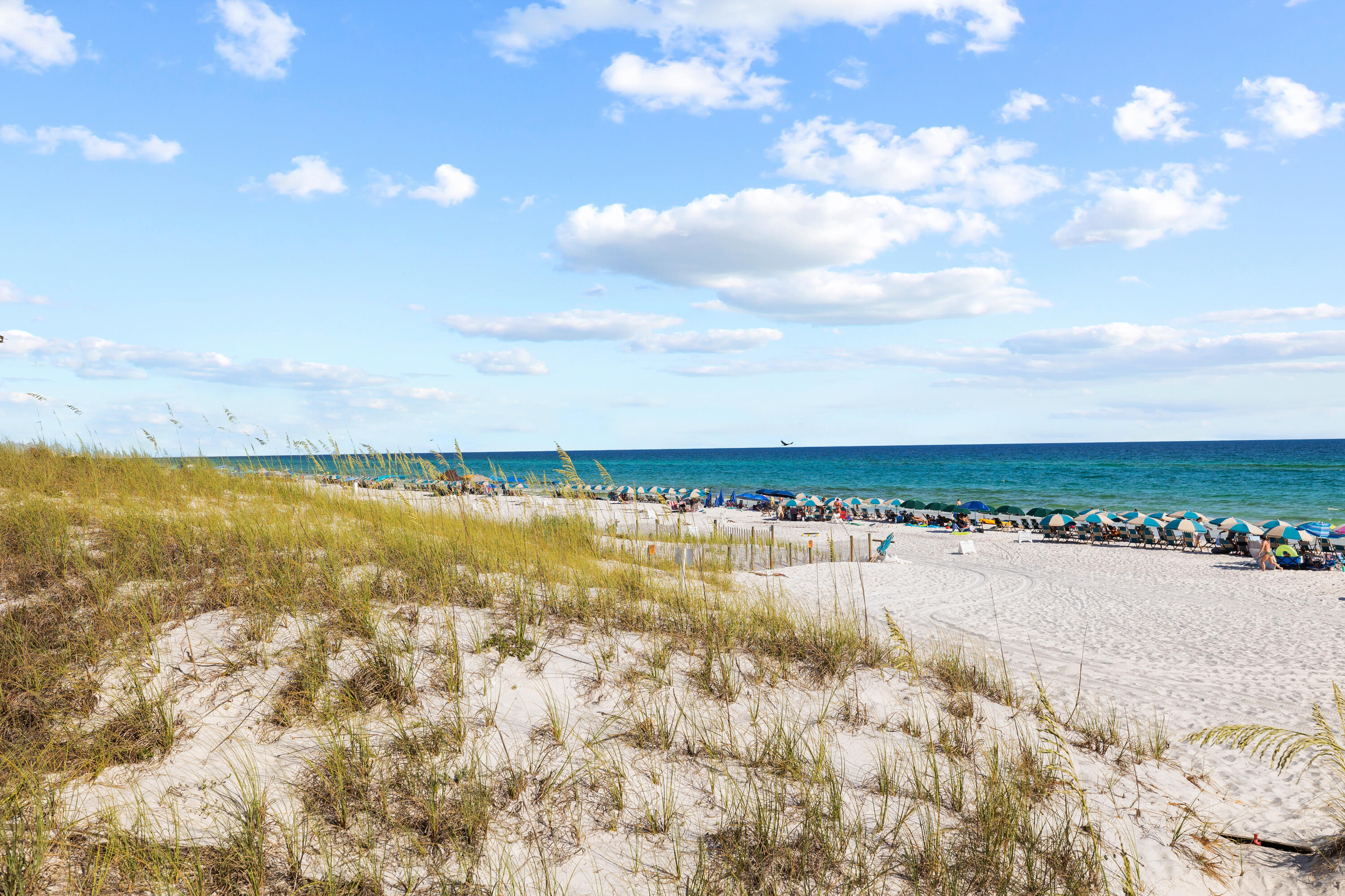 83 Dalton Drive Santa Rosa Beach FL 32459