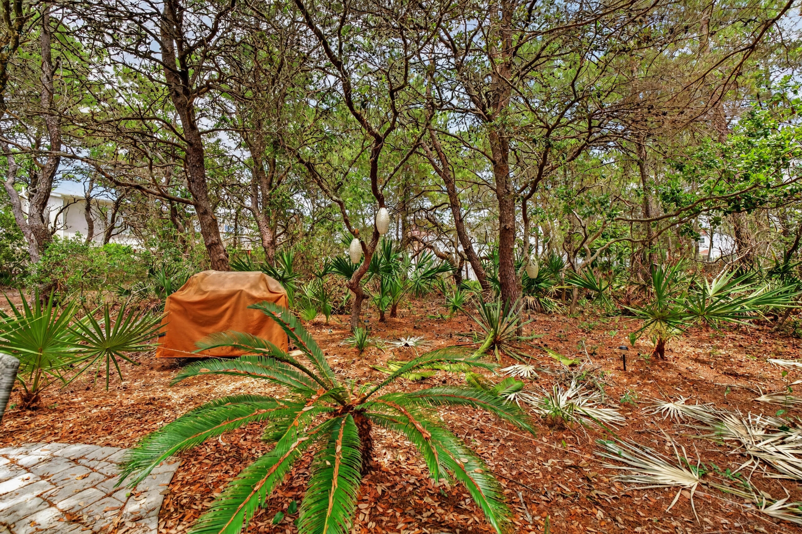44 N Ryan Street Santa Rosa Beach FL 32459