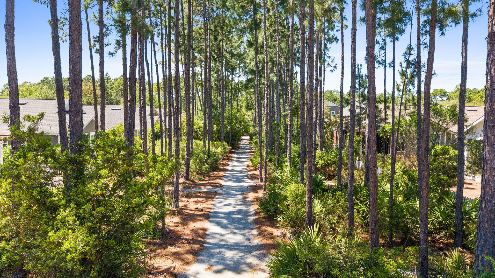 27 Somersault Lane Inlet Beach FL 32461
