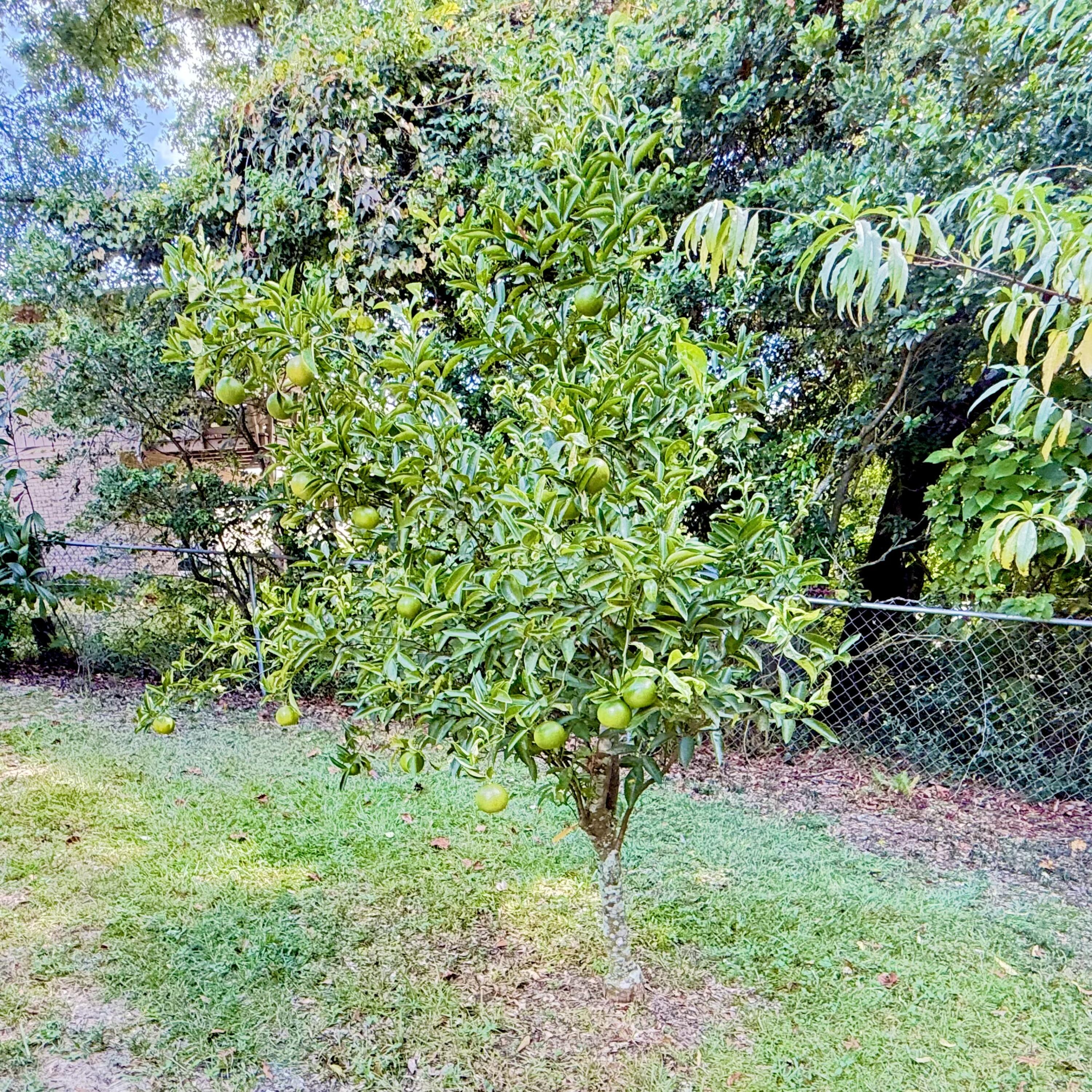 4092 Rocky Drive Niceville FL 32578
