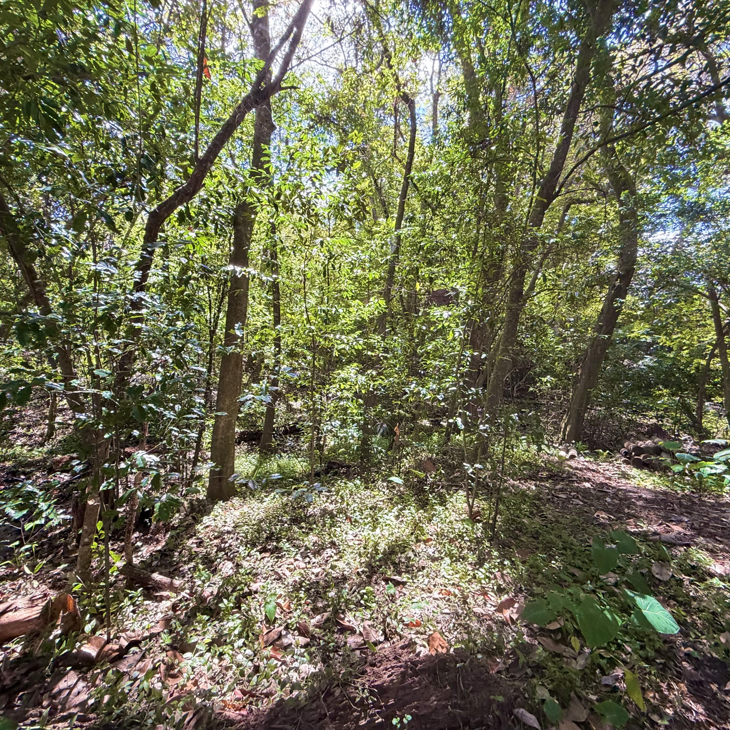 4092 Rocky Drive Niceville FL 32578