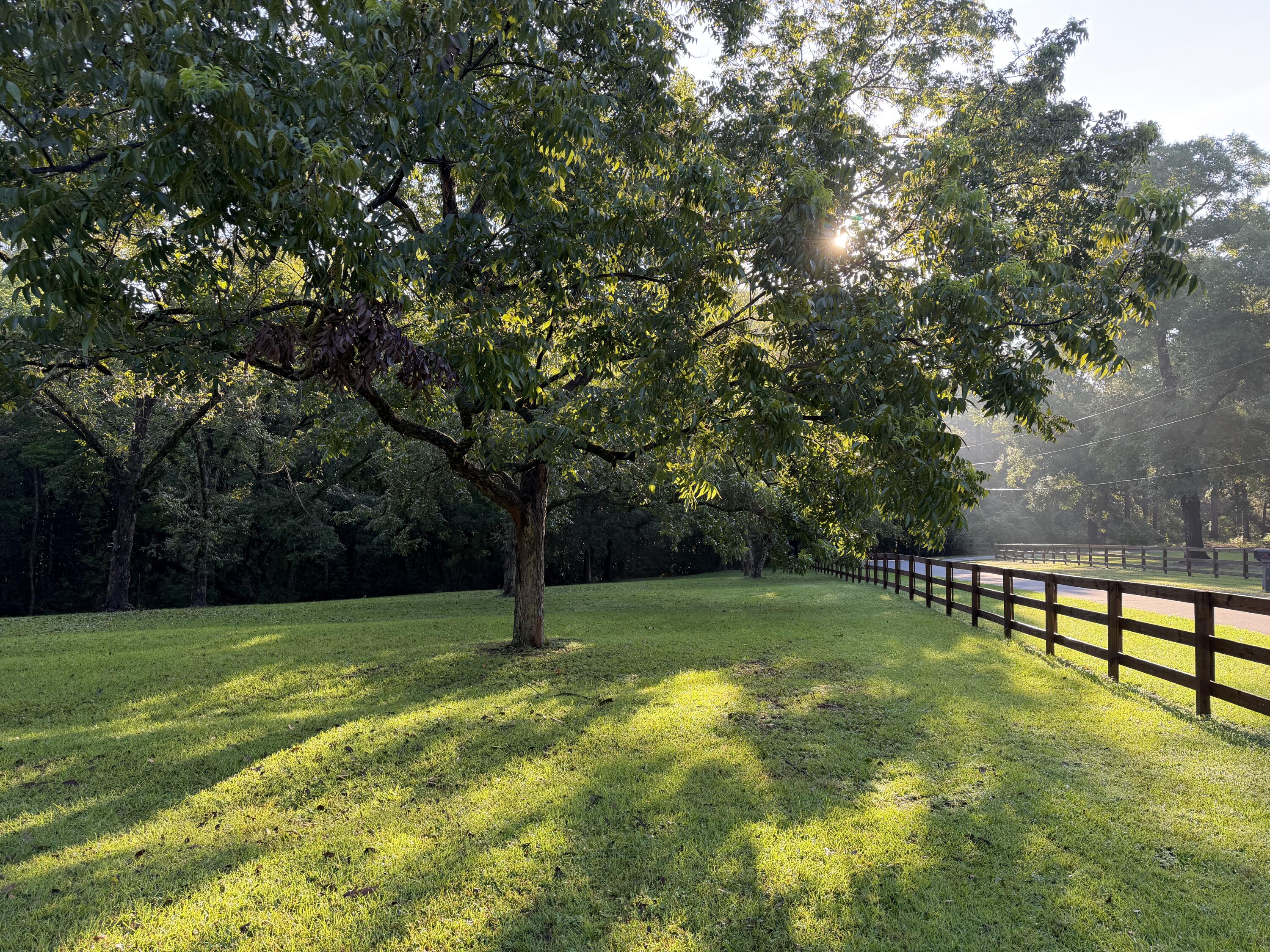 139 Oaklawn Drive Defuniak Springs FL 32435