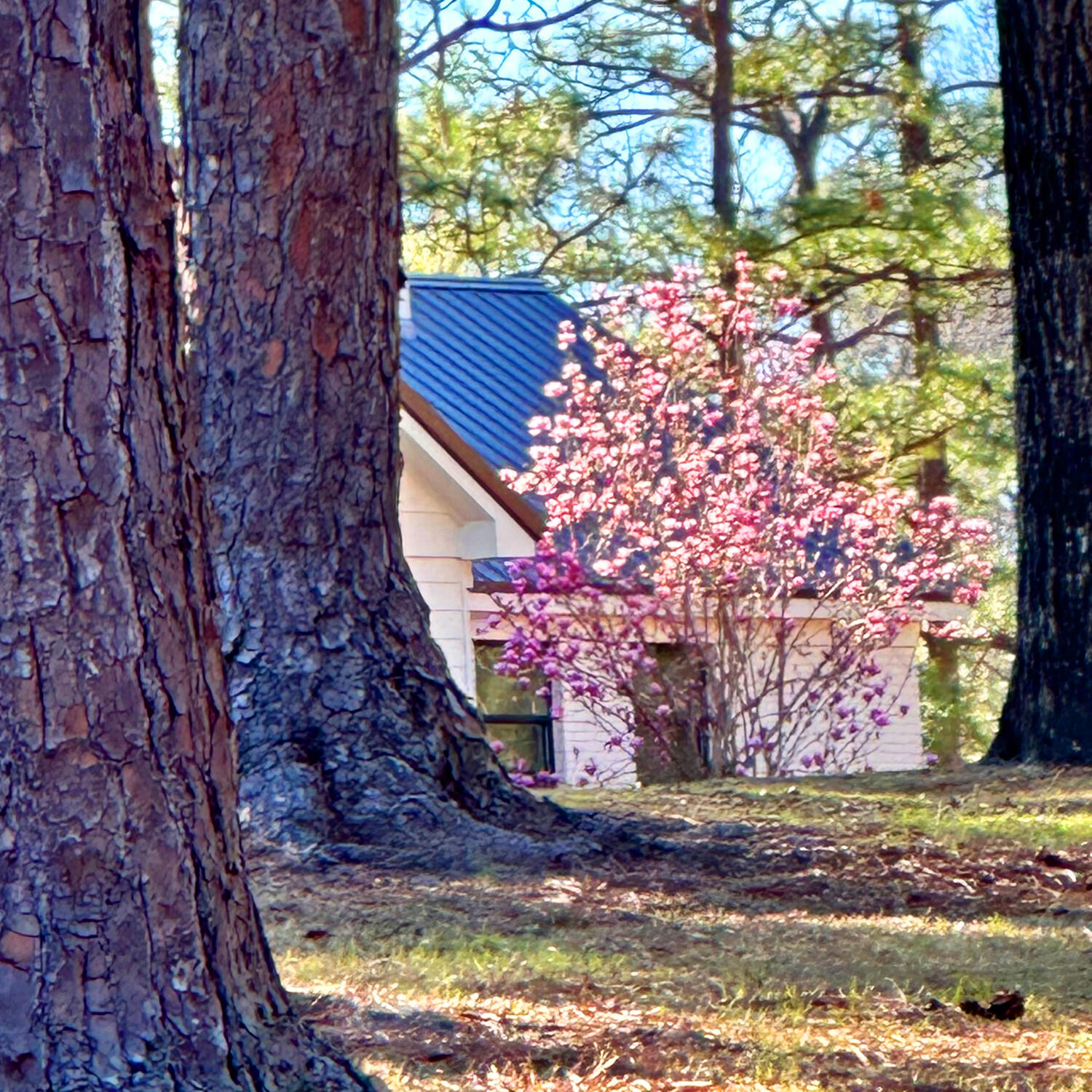 139 Oaklawn Drive Defuniak Springs FL 32435