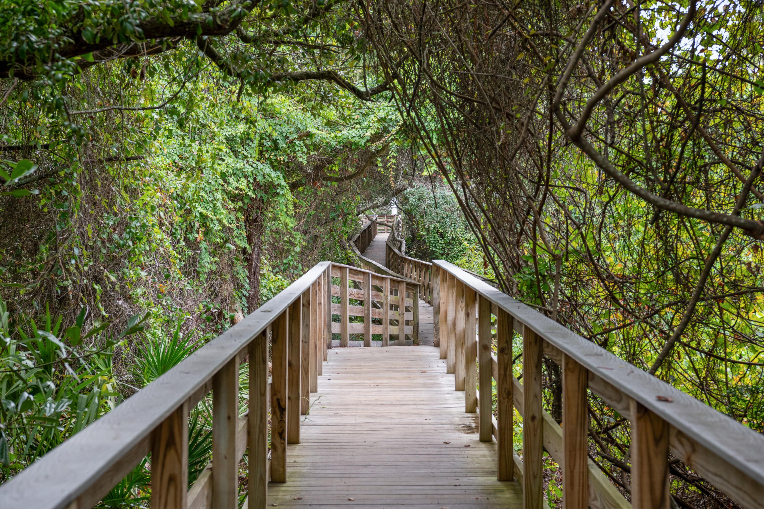 345 Morgans Trail Santa Rosa Beach FL 32459