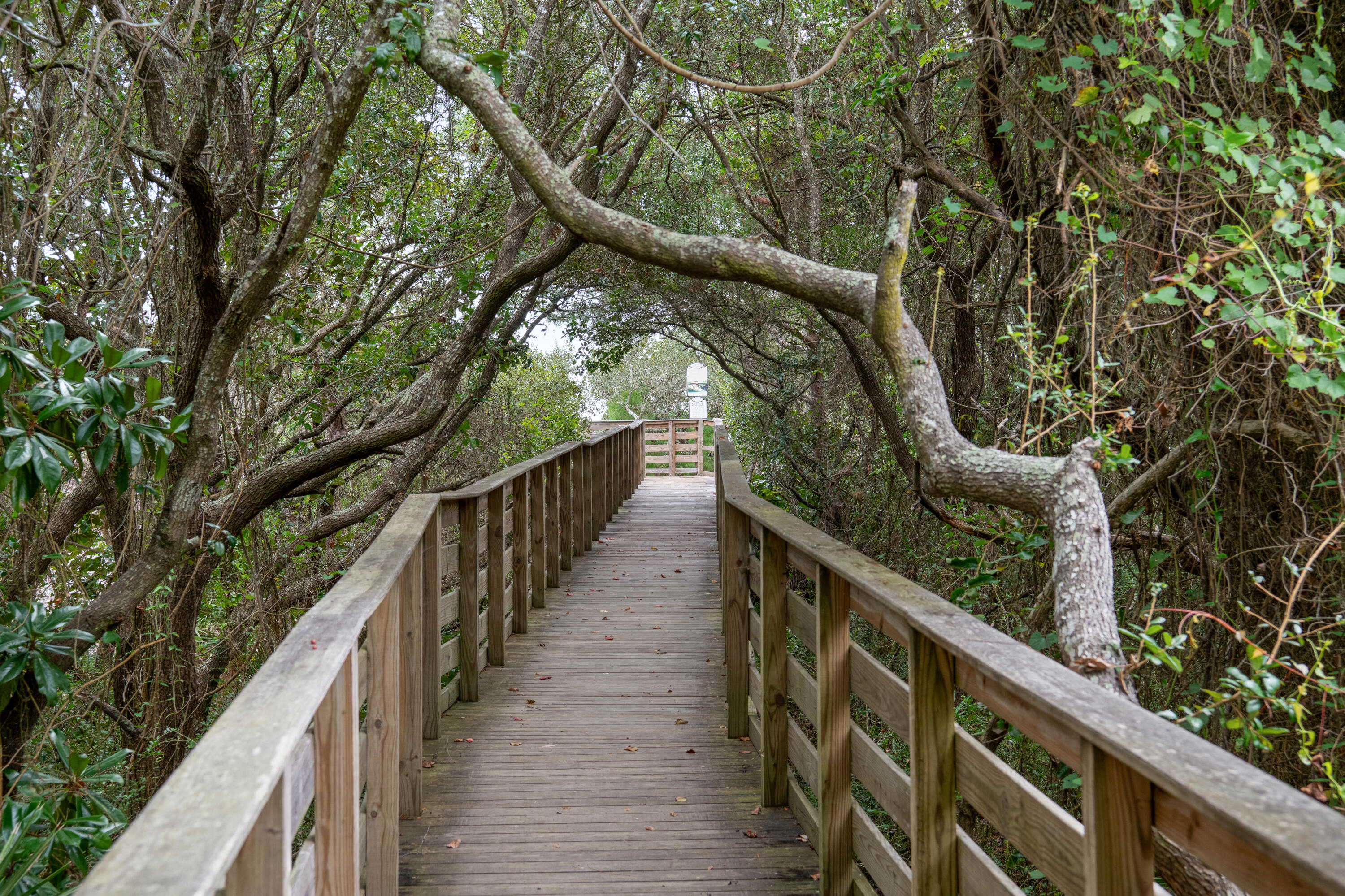 345 Morgans Trail Santa Rosa Beach FL 32459