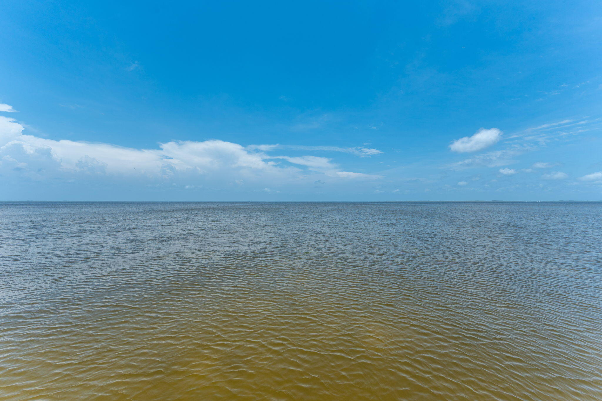 1441 Driftwood Point Road Santa Rosa Beach FL 32459