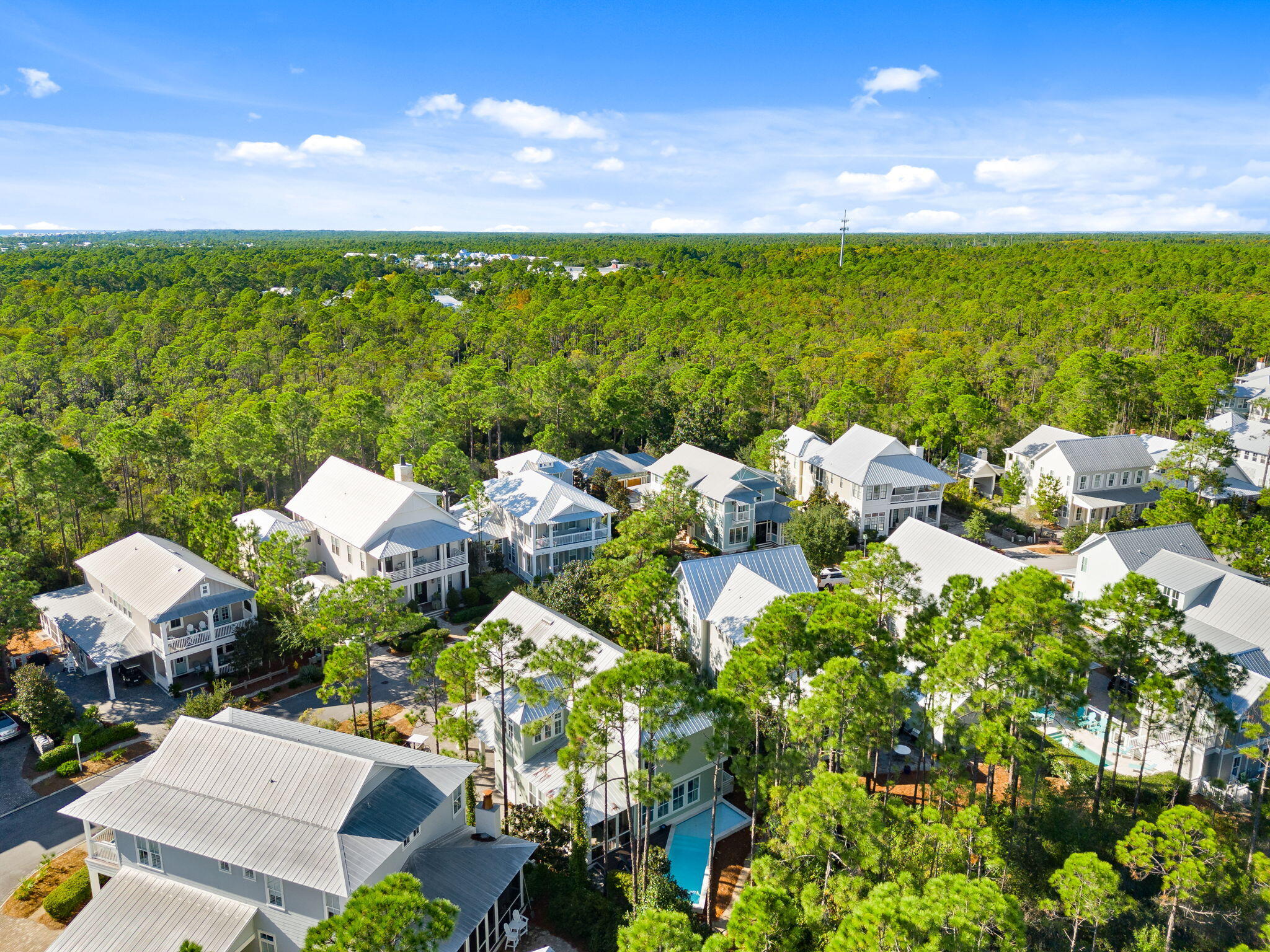 384 E Royal Fern Way Santa Rosa Beach FL 32459
