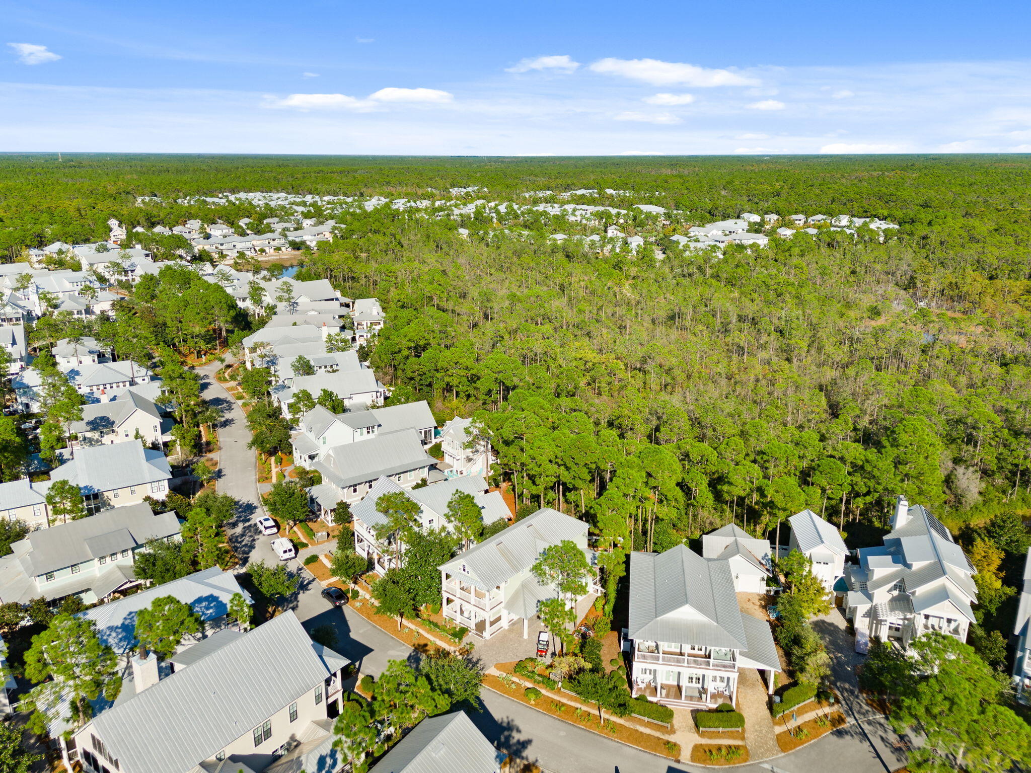 384 E Royal Fern Way Santa Rosa Beach FL 32459