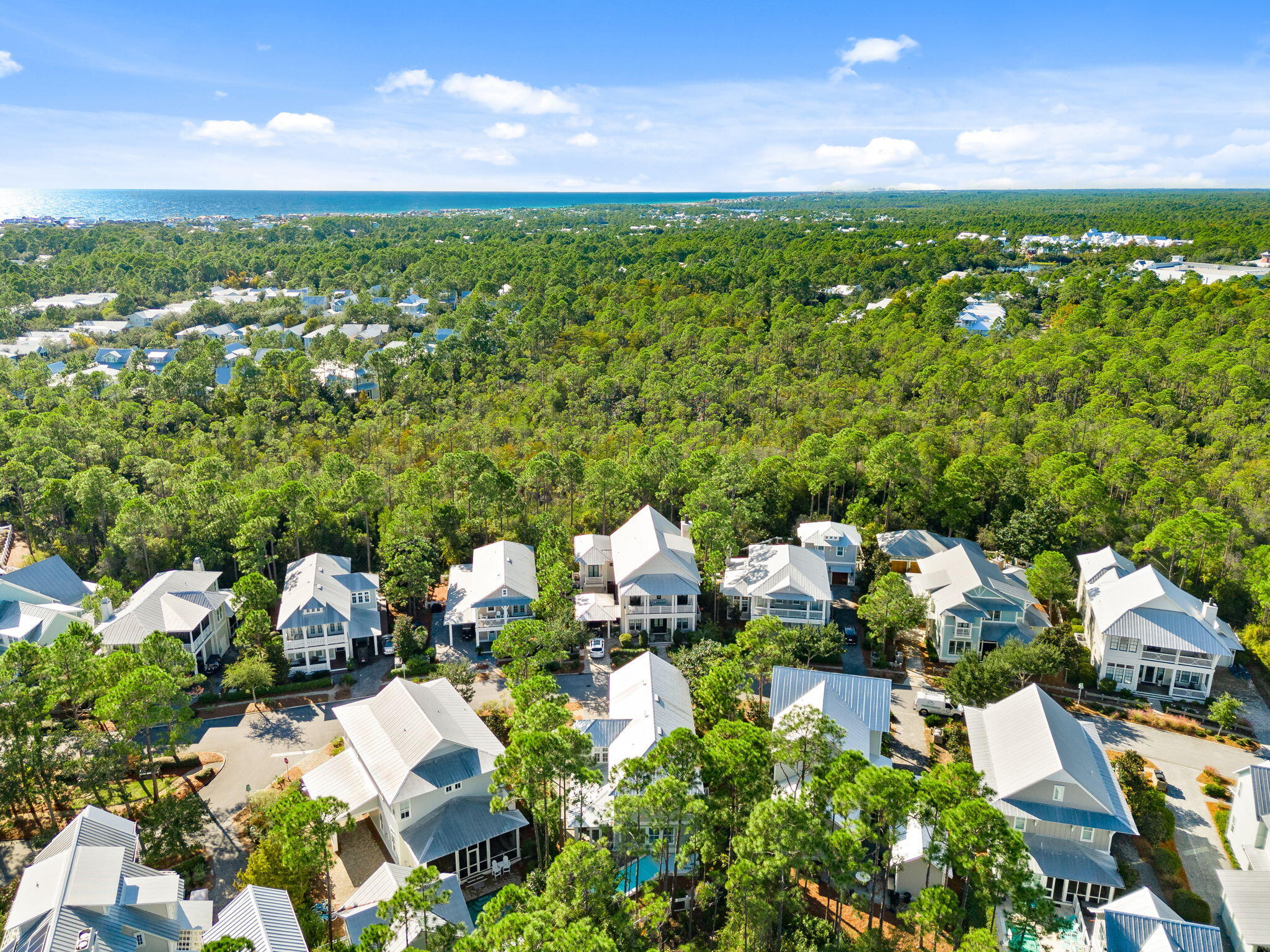 384 E Royal Fern Way Santa Rosa Beach FL 32459