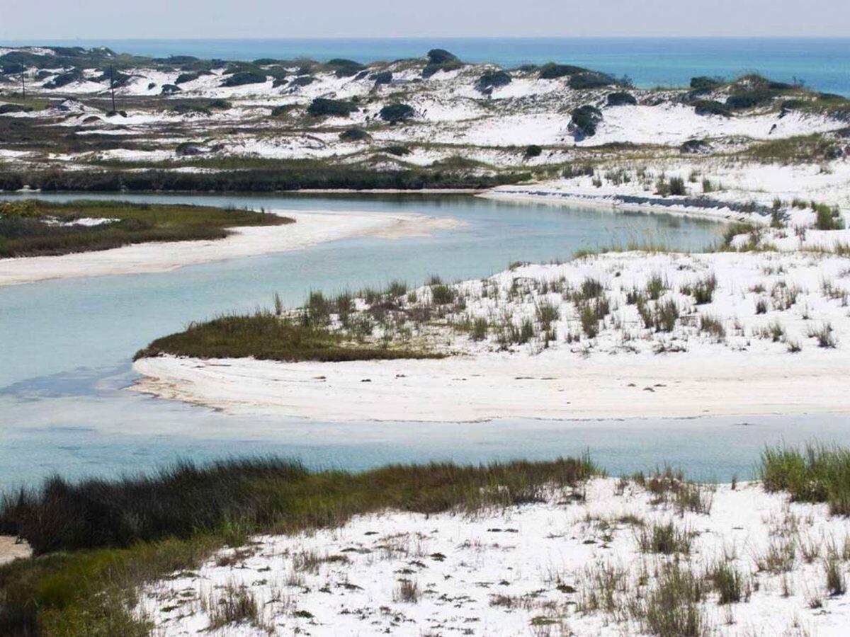54 Mountain Top Dune Drive Santa Rosa Beach FL 32459