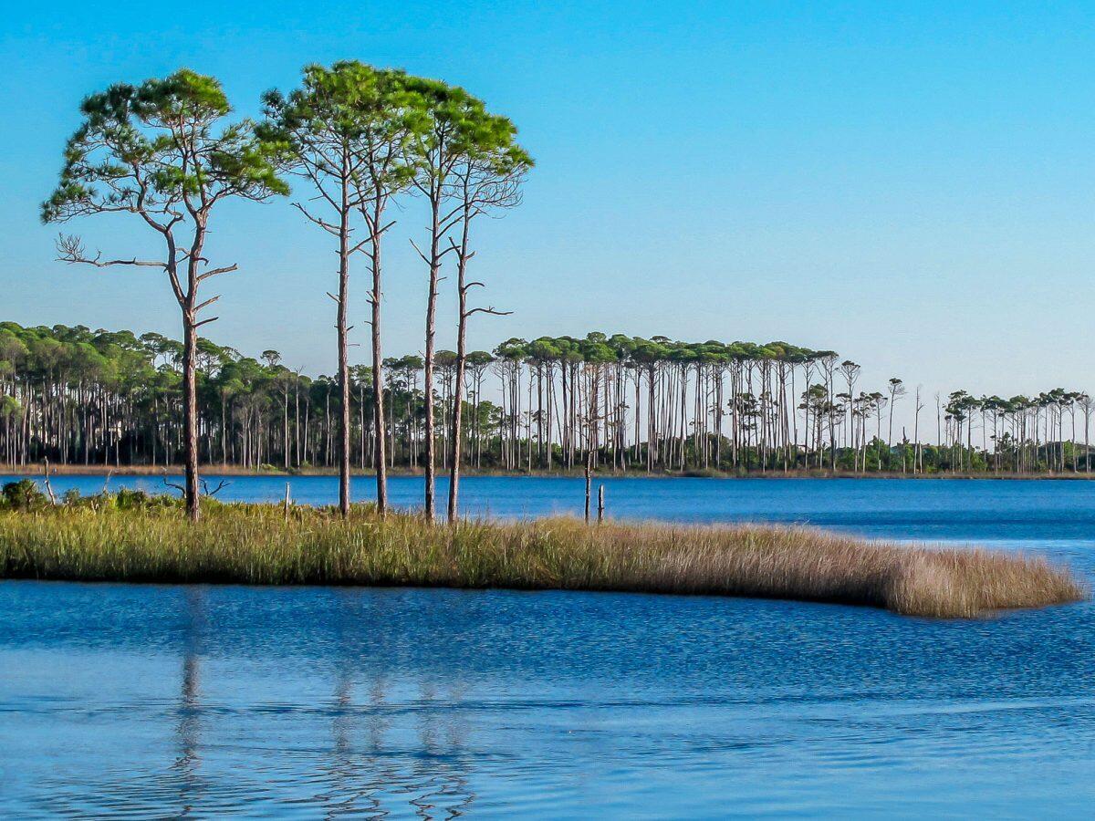 54 Mountain Top Dune Drive Santa Rosa Beach FL 32459