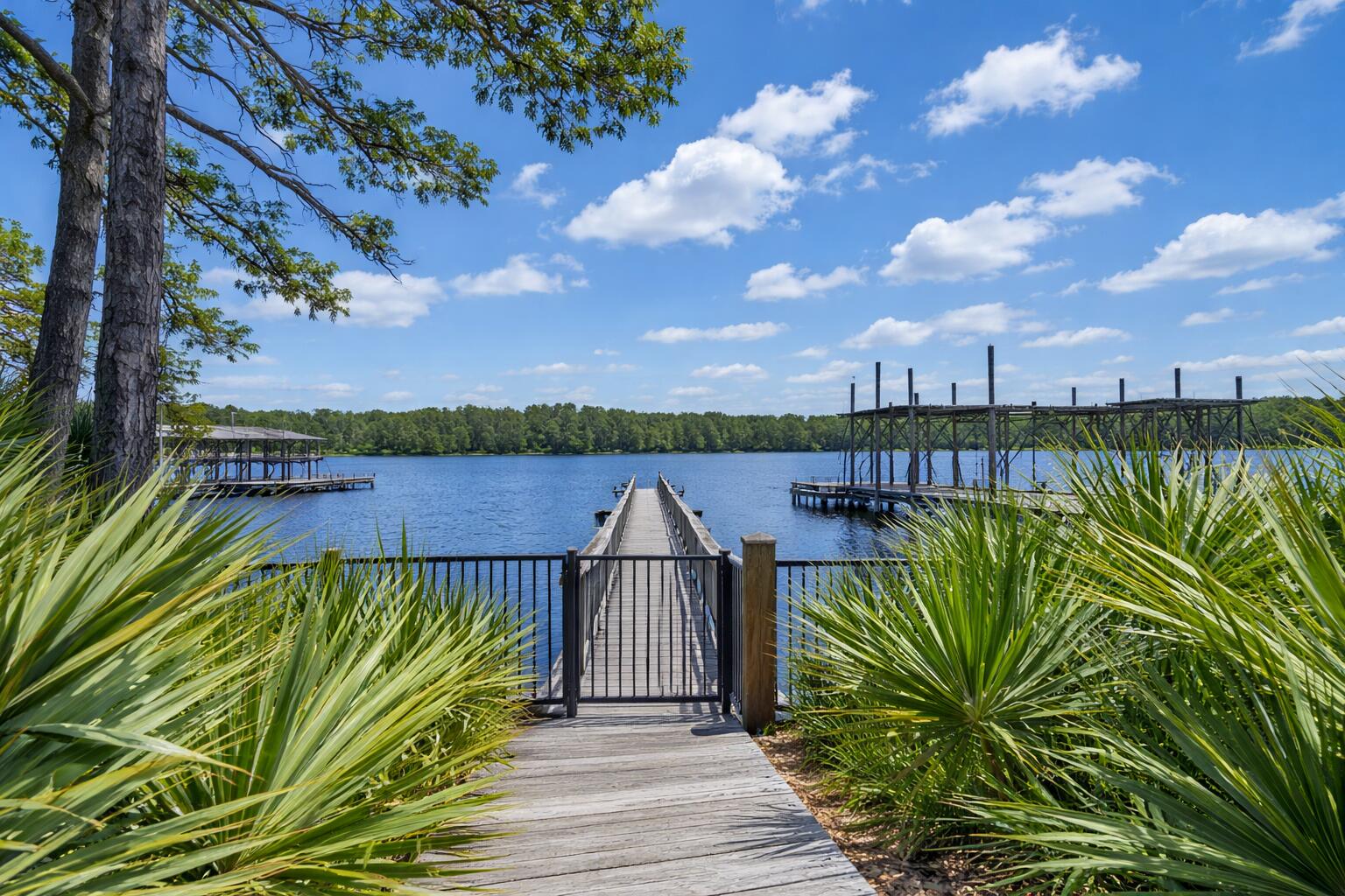 13 Inlet Cove Inlet Beach FL 32461