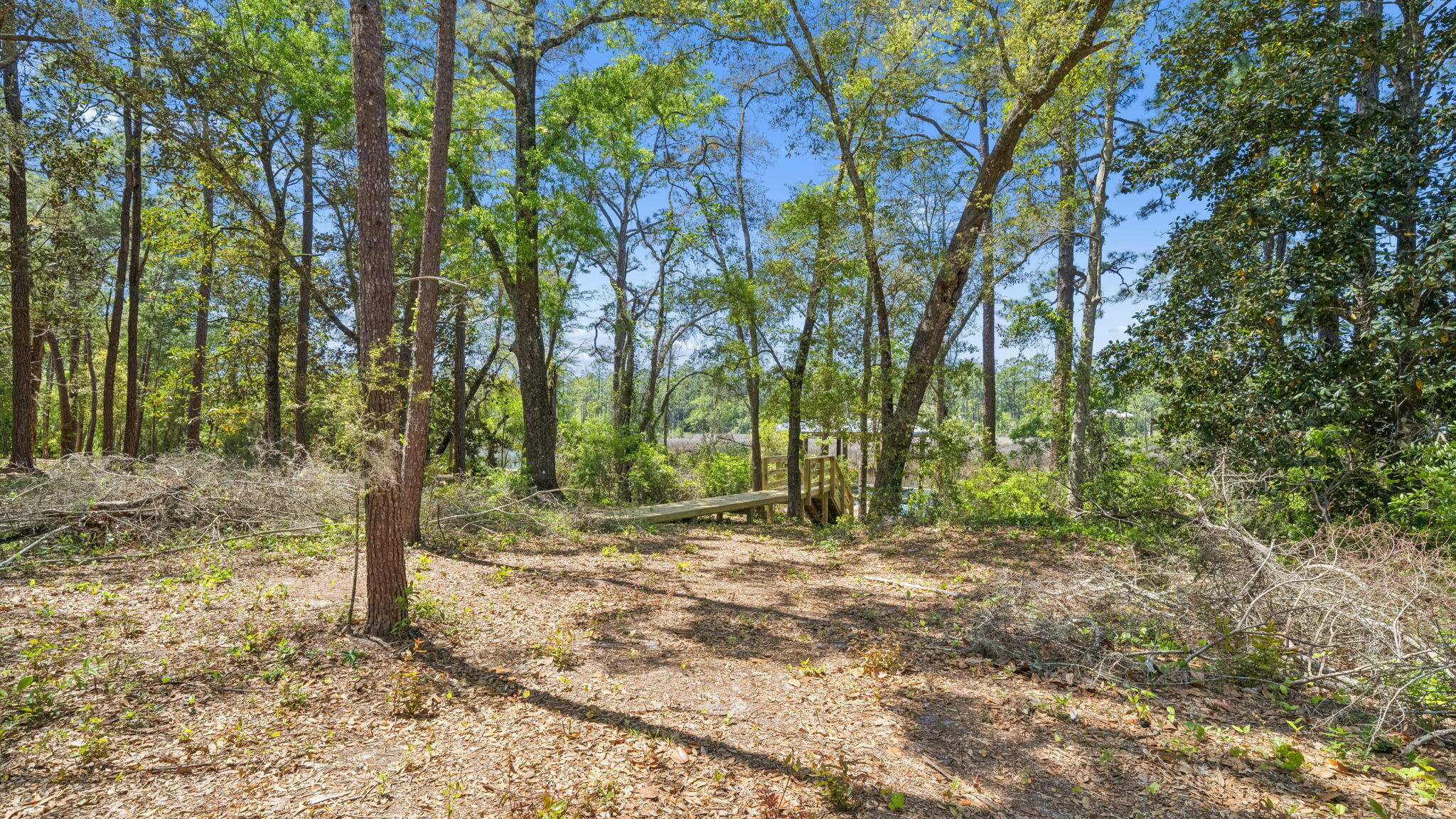 785 Old Ferry Road Santa Rosa Beach FL 32459