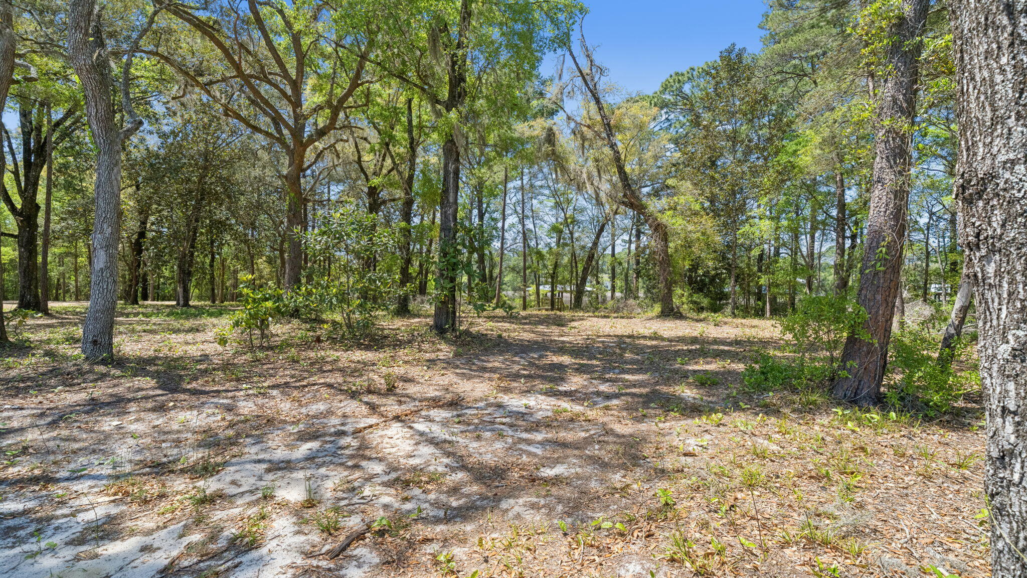 785 Old Ferry Road Santa Rosa Beach FL 32459