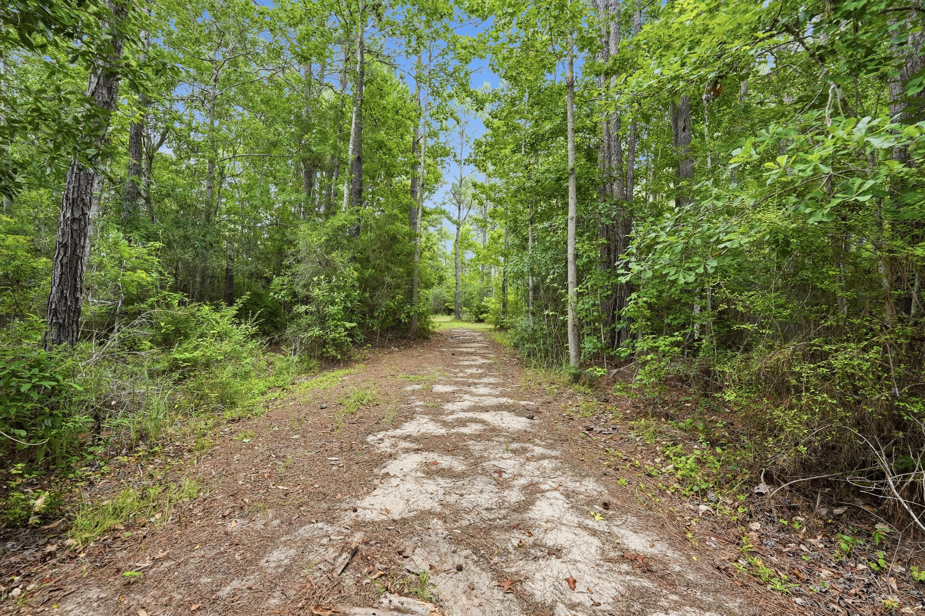 292 S Marsh Landing Freeport FL 32439