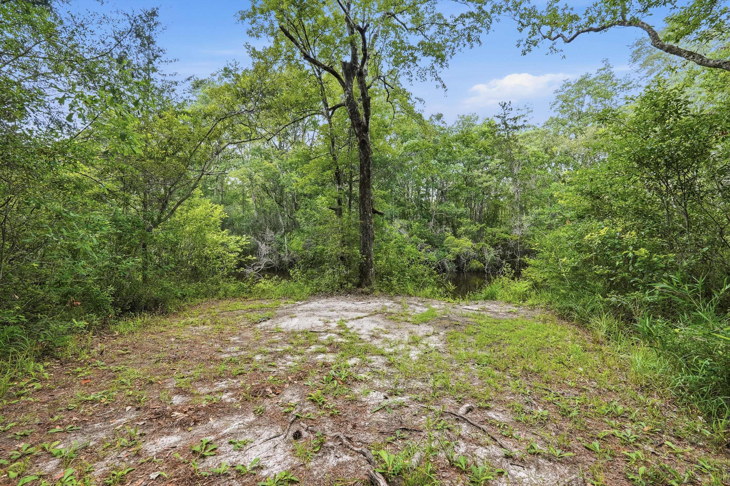 292 S Marsh Landing Freeport FL 32439