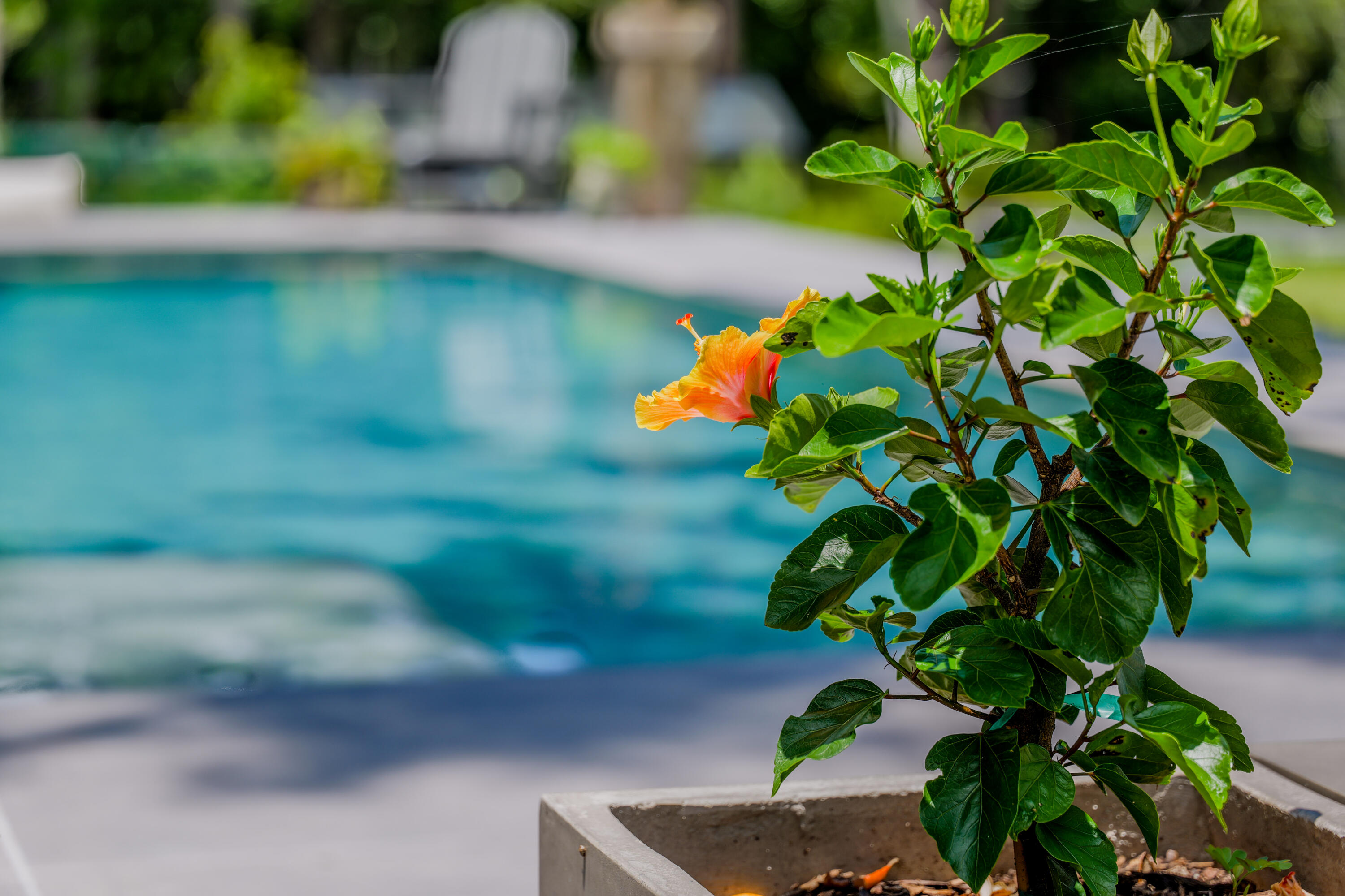 252 Chat Holley Road Santa Rosa Beach FL 32459