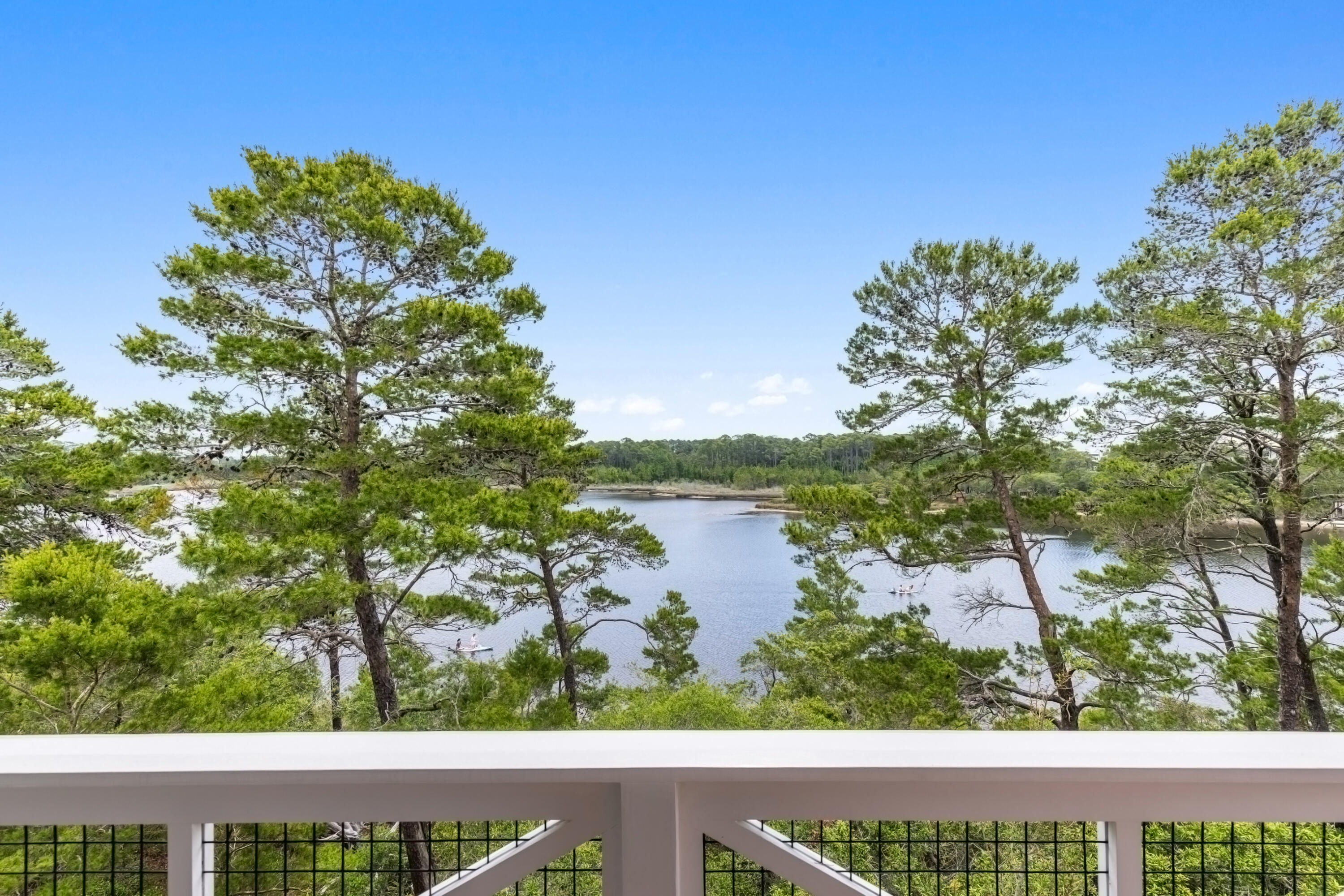 29 Sinclair Lane Santa Rosa Beach FL 32459