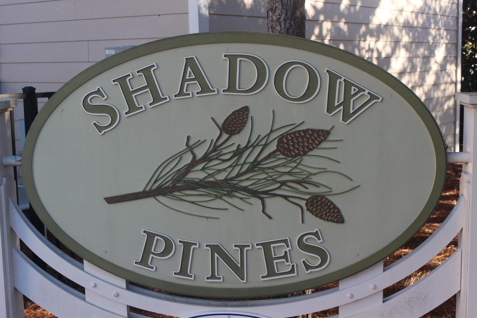 119 Michaela Lane Santa Rosa Beach FL 32459