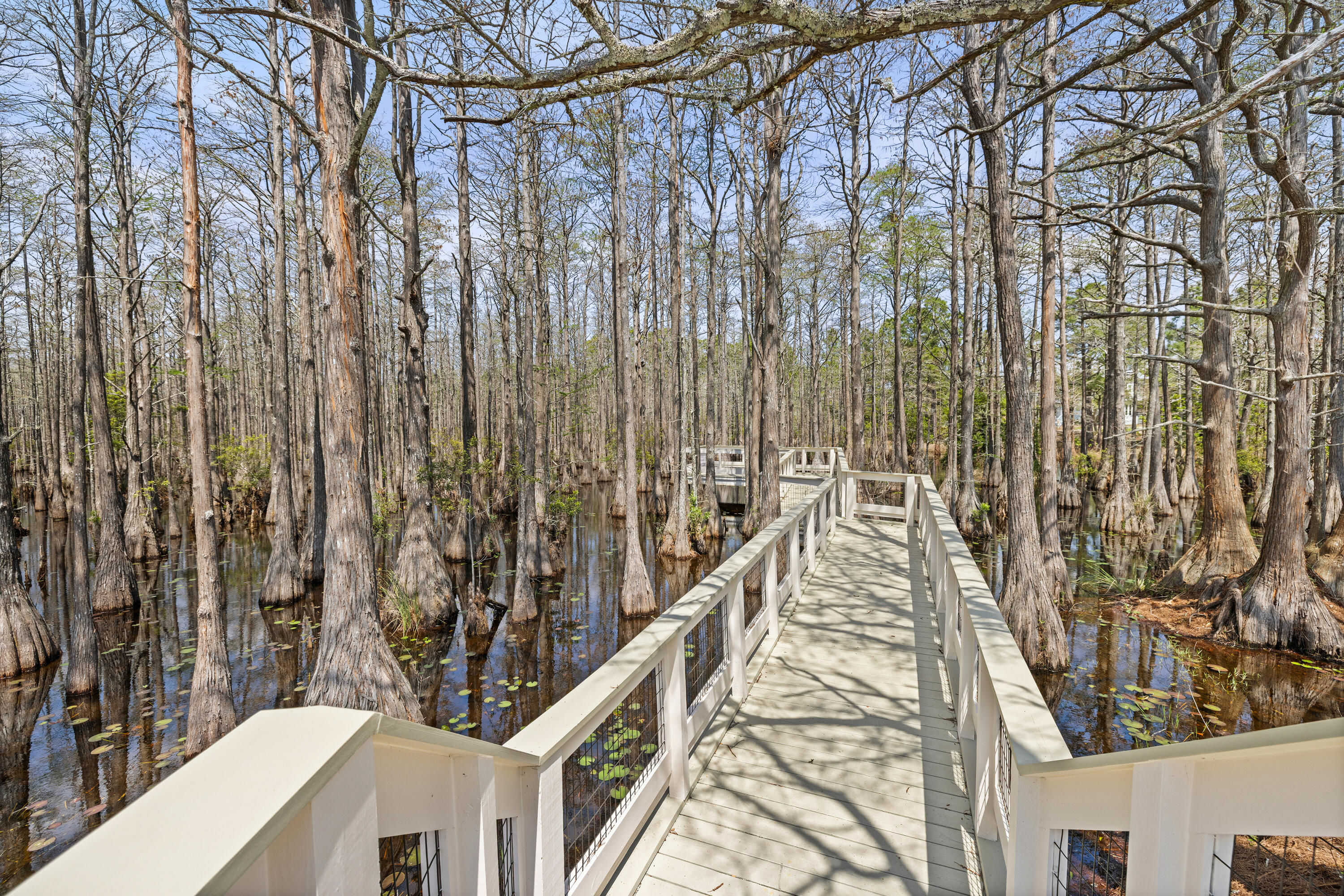 324 Cypress Drive Santa Rosa Beach FL 32459