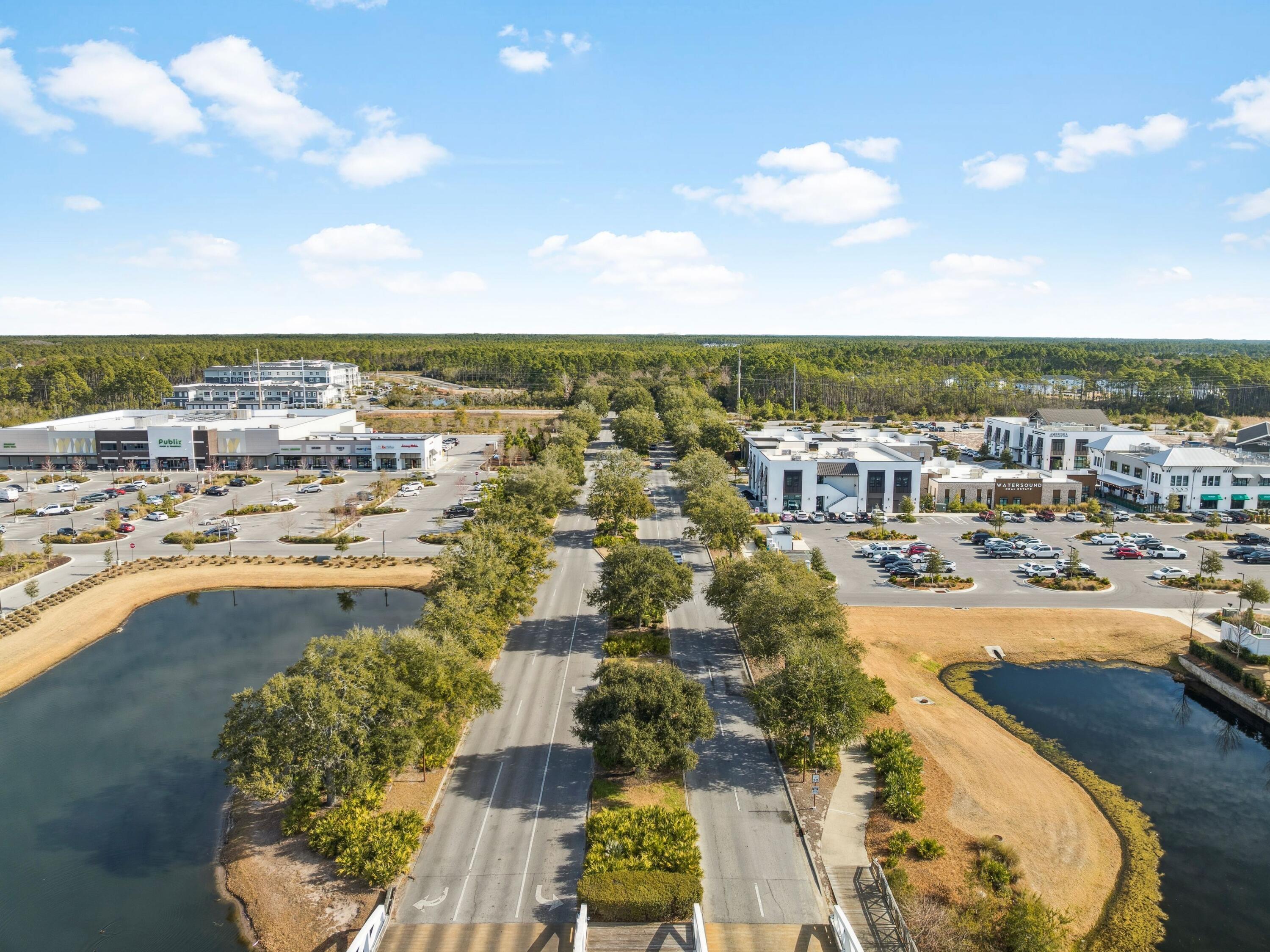 224 Needle Cast Lane Watersound FL 32461