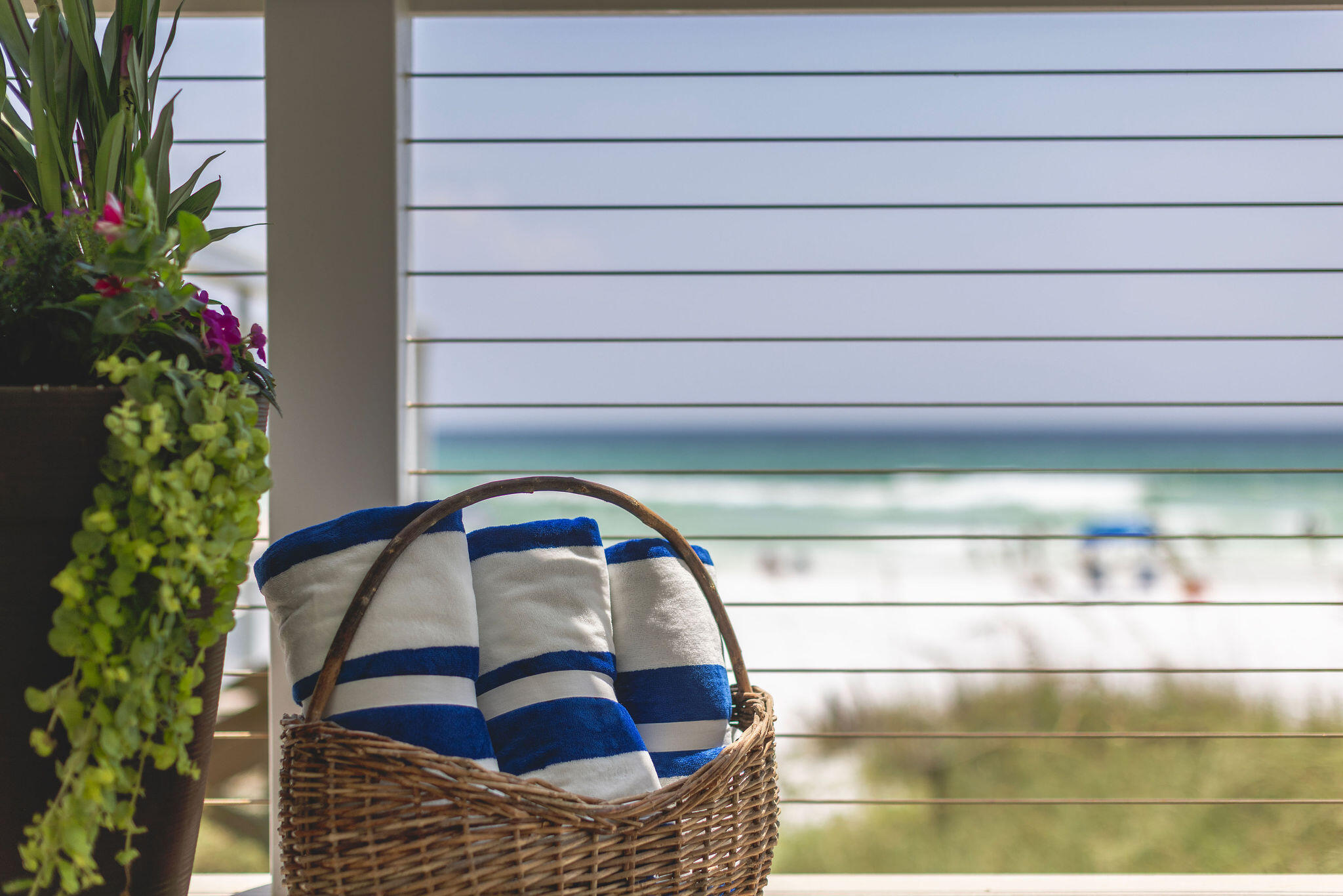 43 Fort Panic Road Santa Rosa Beach FL 32459
