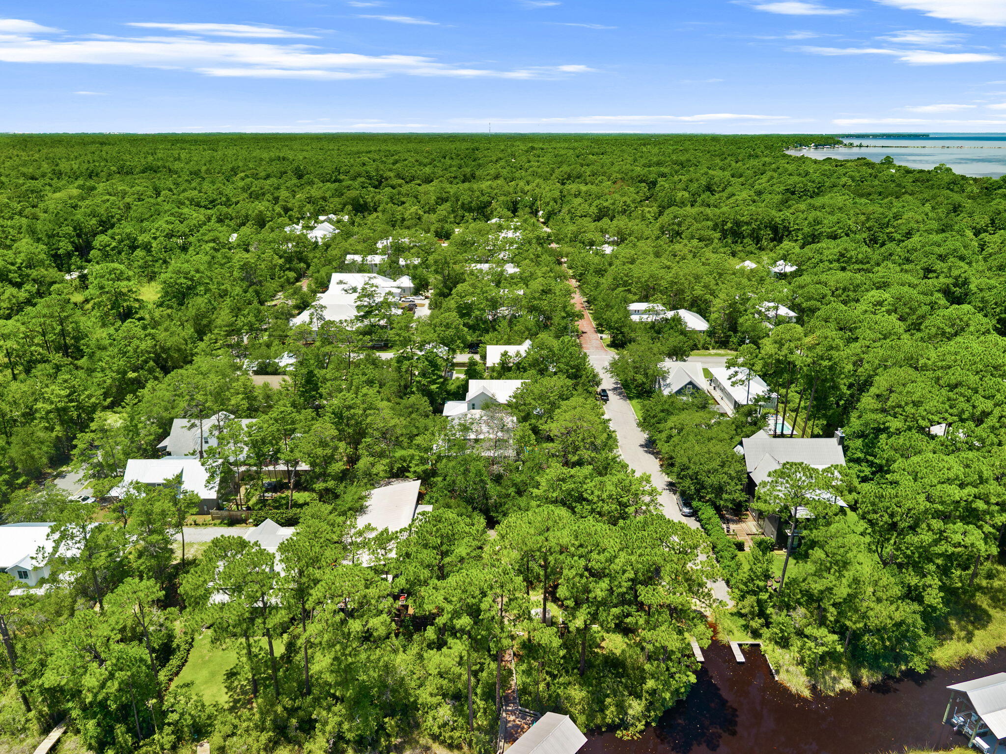 36 Days Lane Santa Rosa Beach FL 32459