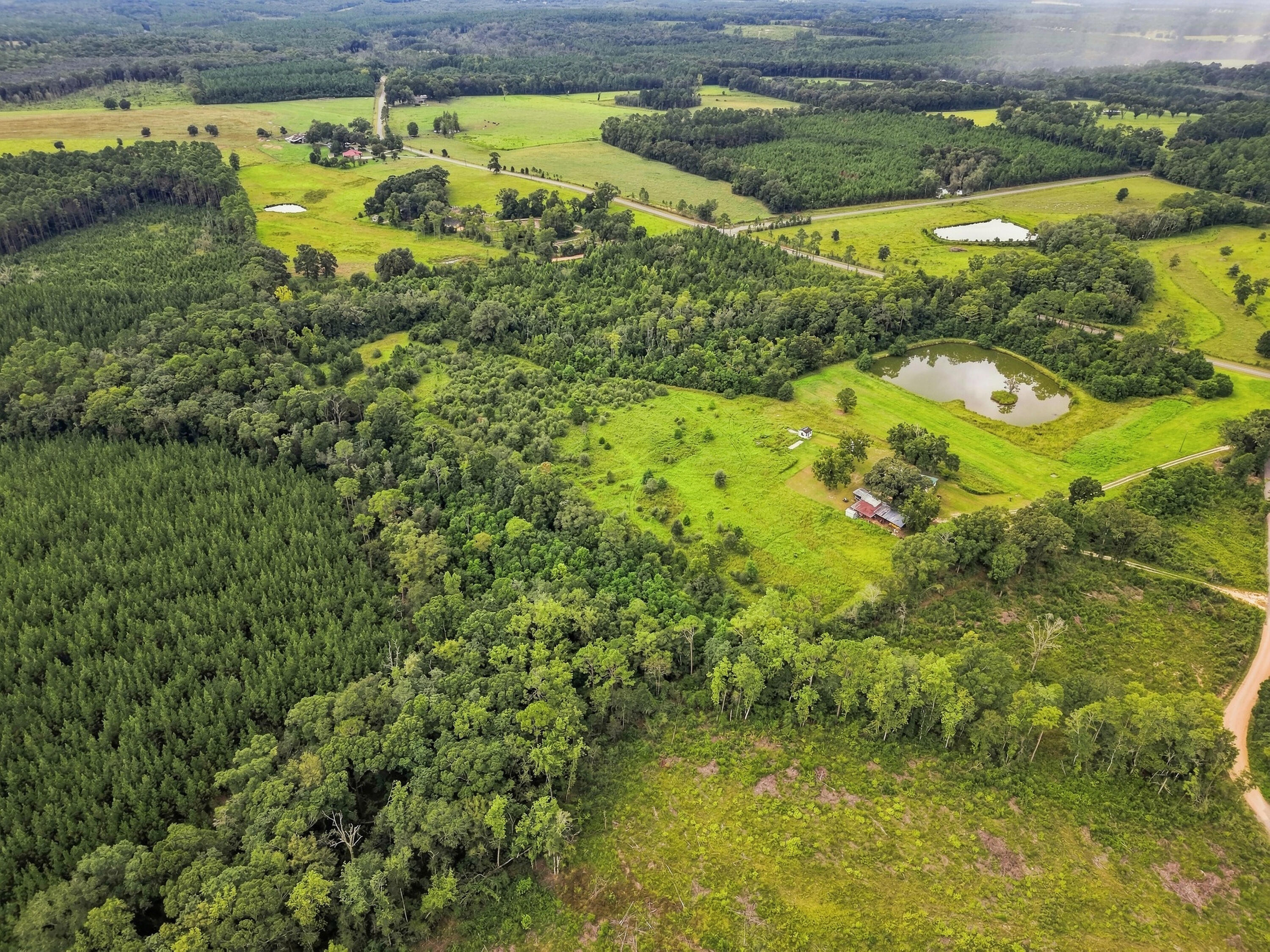 144 Icie Pine Rd Road Westville FL 32464