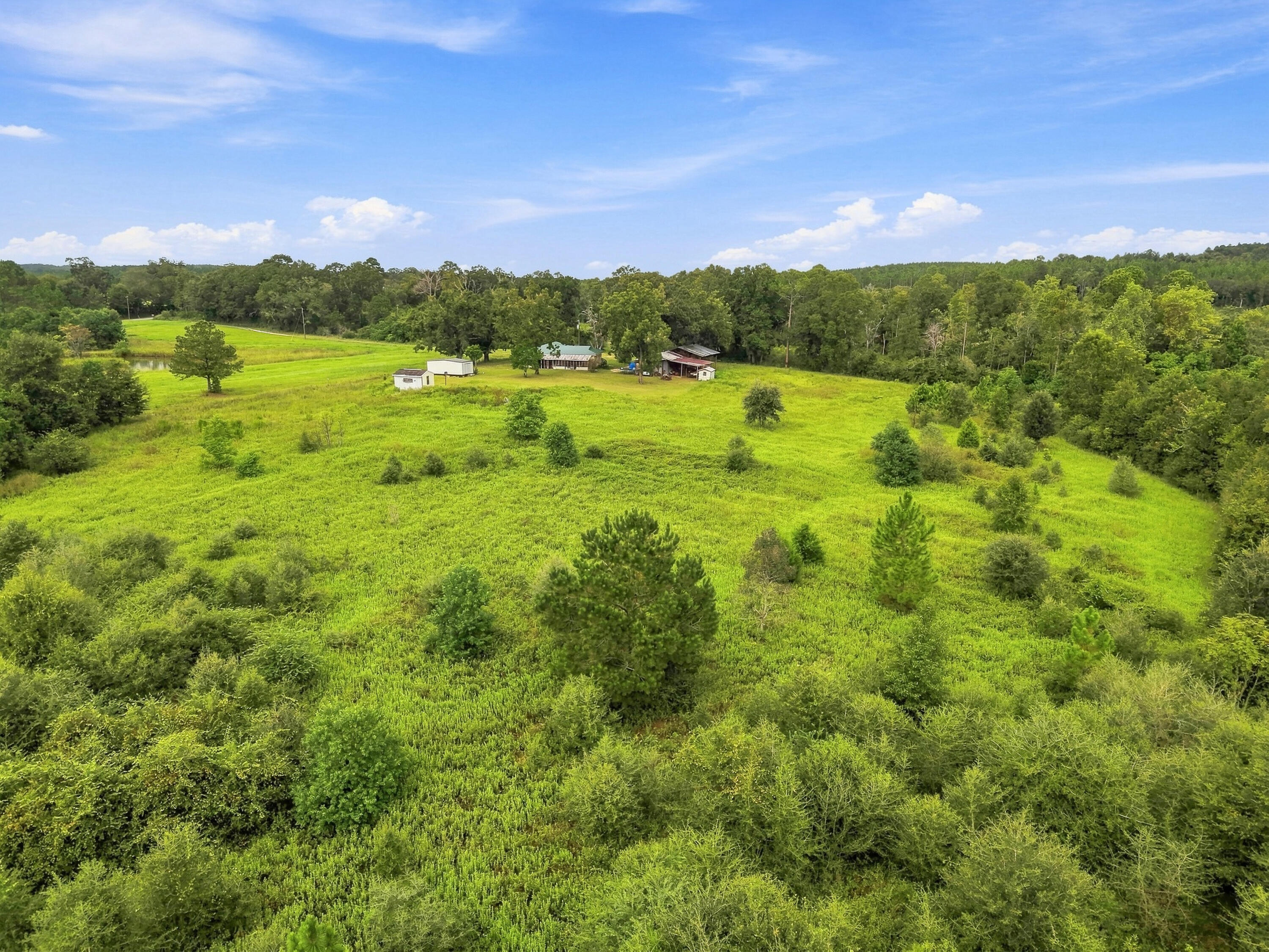144 Icie Pine Rd Road Westville FL 32464