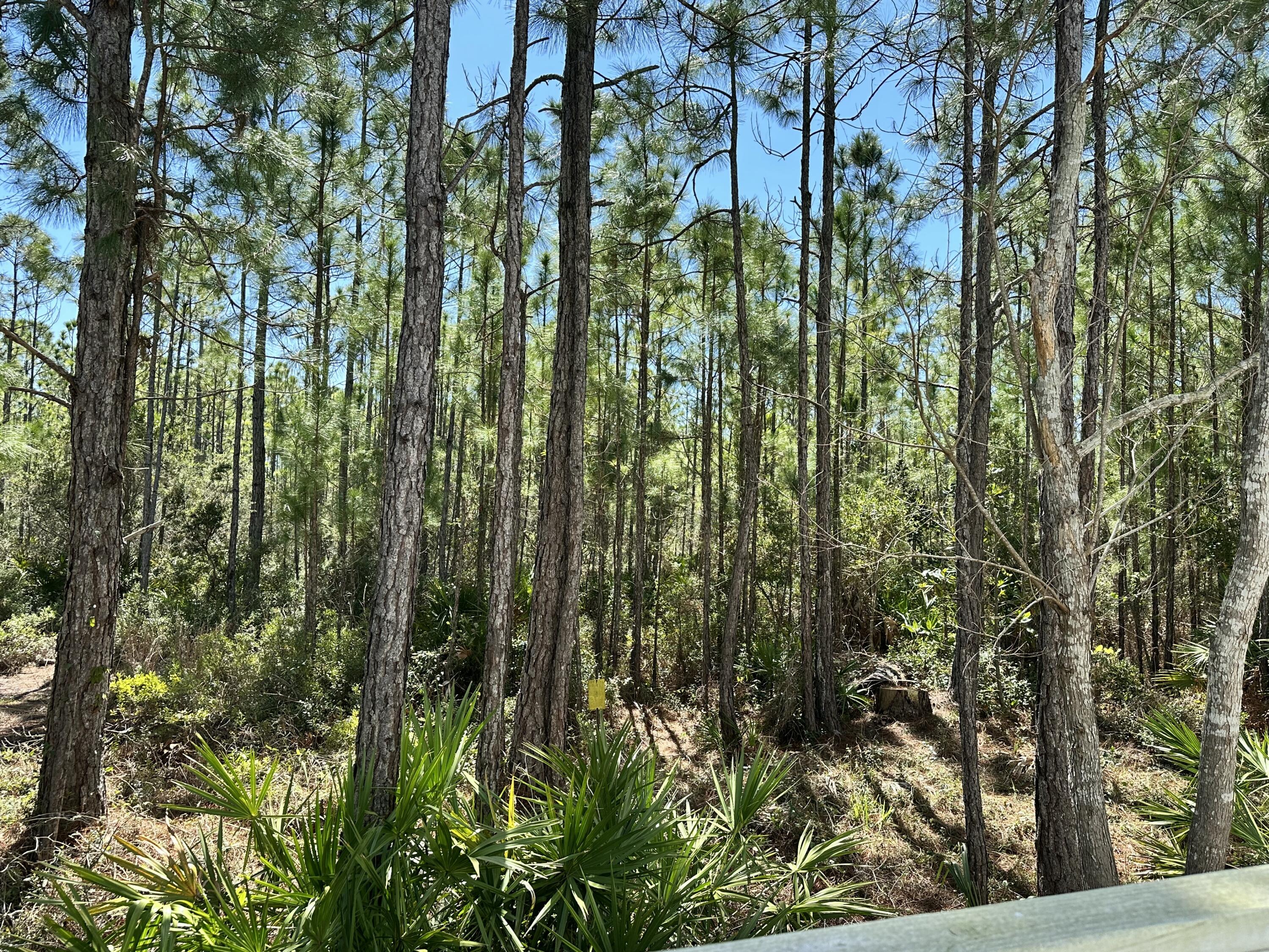 160 Marlberry Trace Santa Rosa Beach FL 32459
