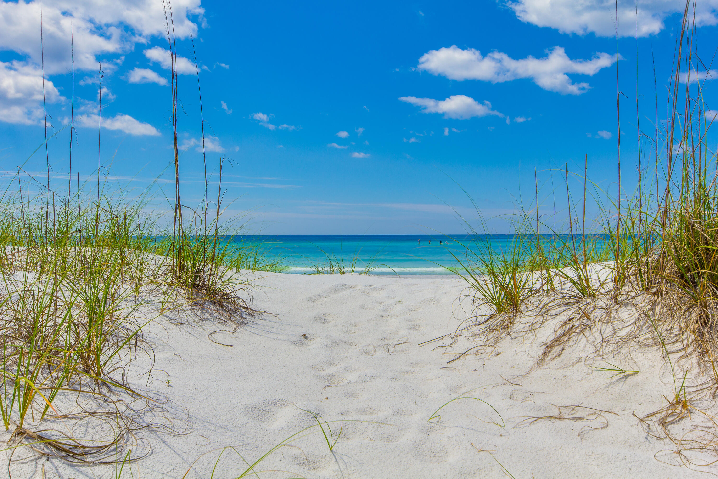 12 Jan Court Inlet Beach FL 32461