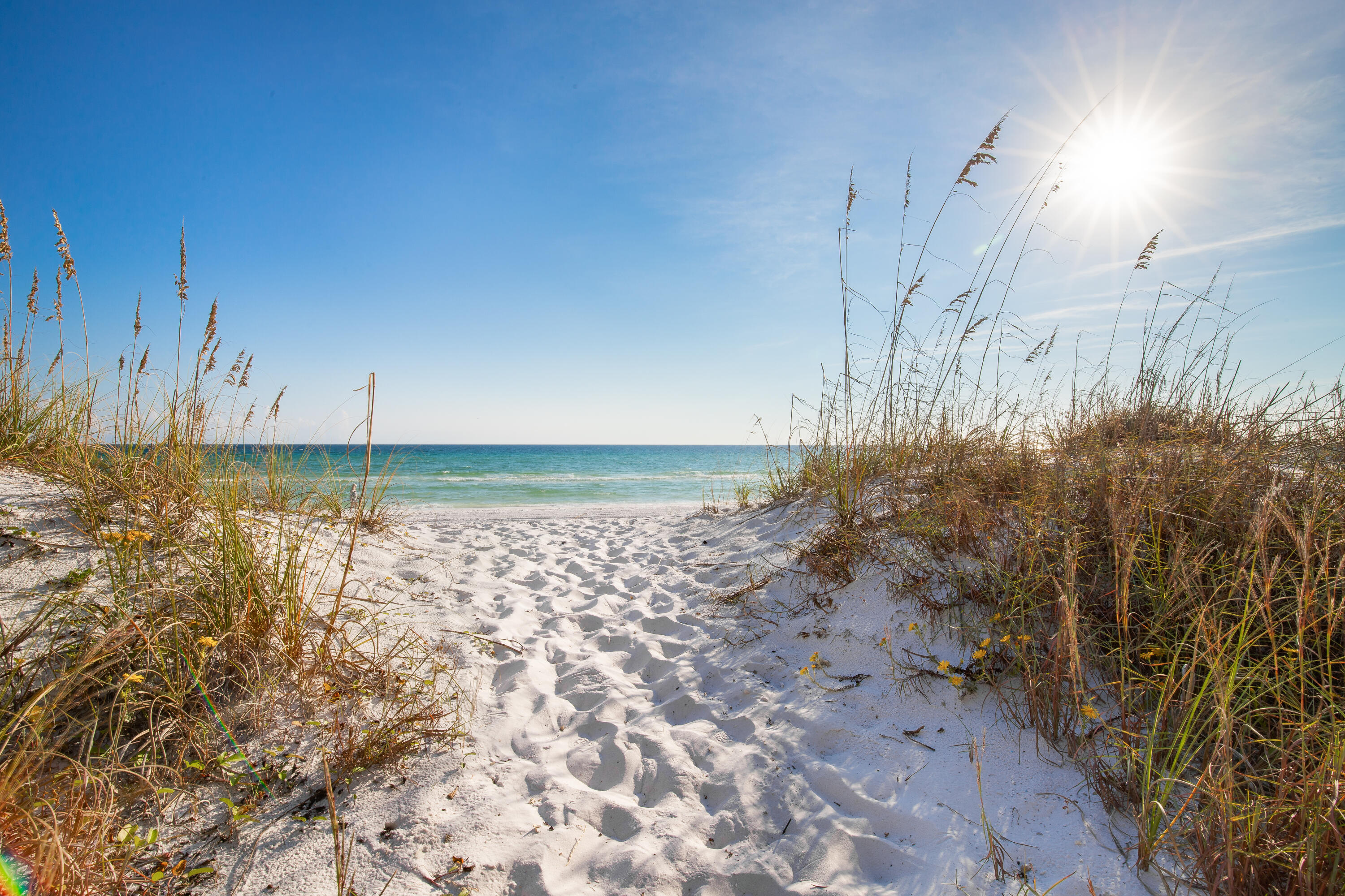 12 Jan Court Inlet Beach FL 32461