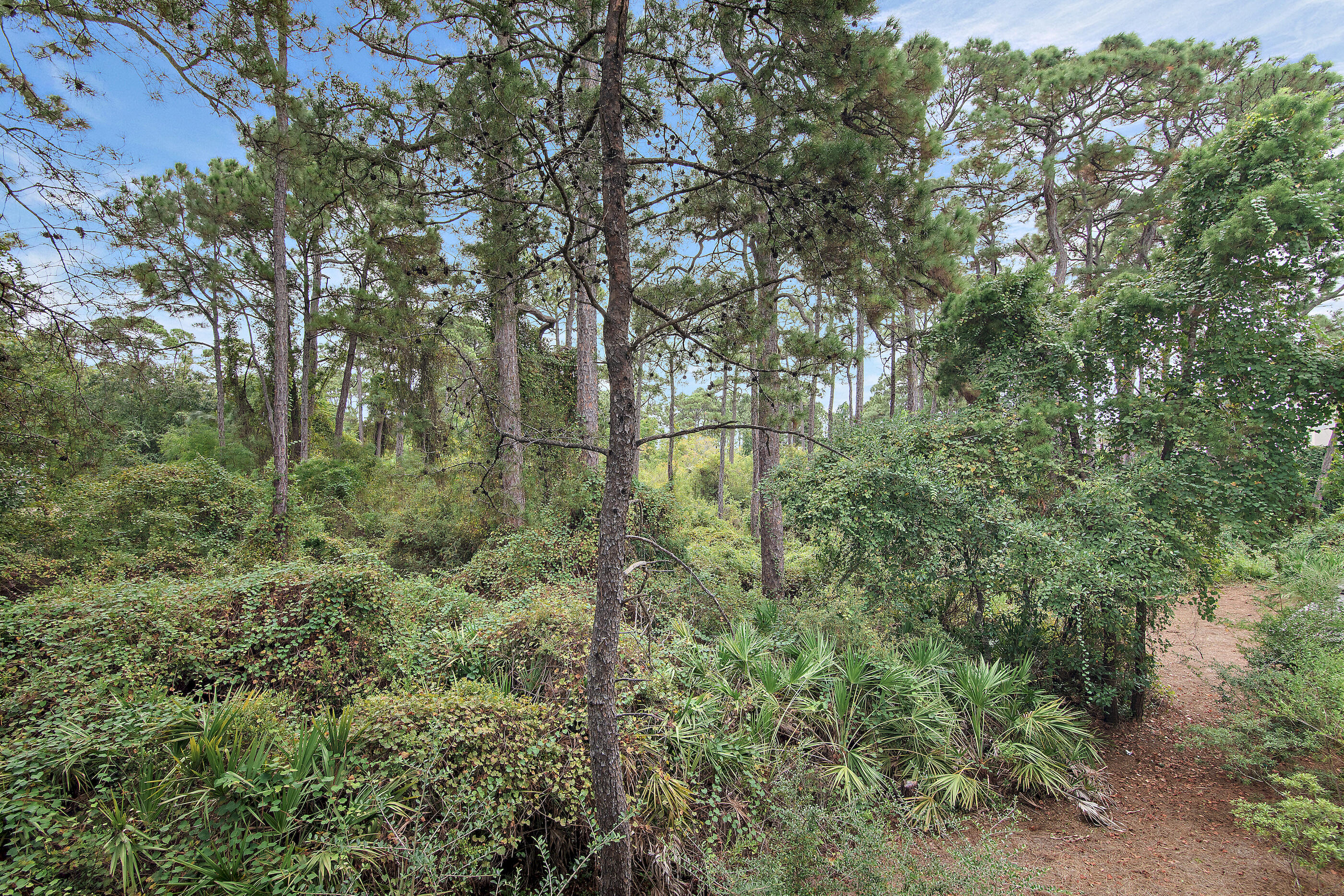52 Charming Way Santa Rosa Beach FL 32459