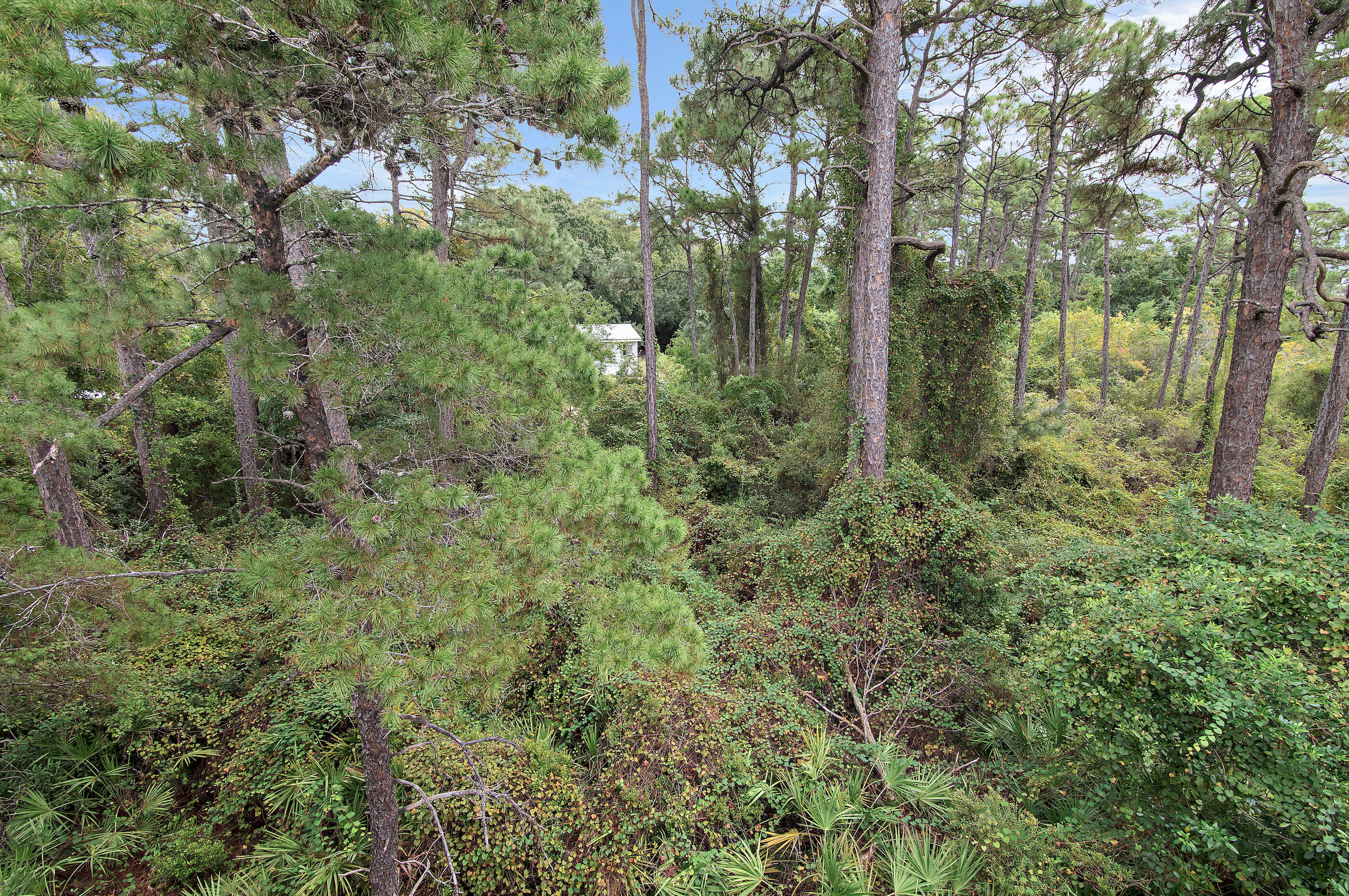 52 Charming Way Santa Rosa Beach FL 32459