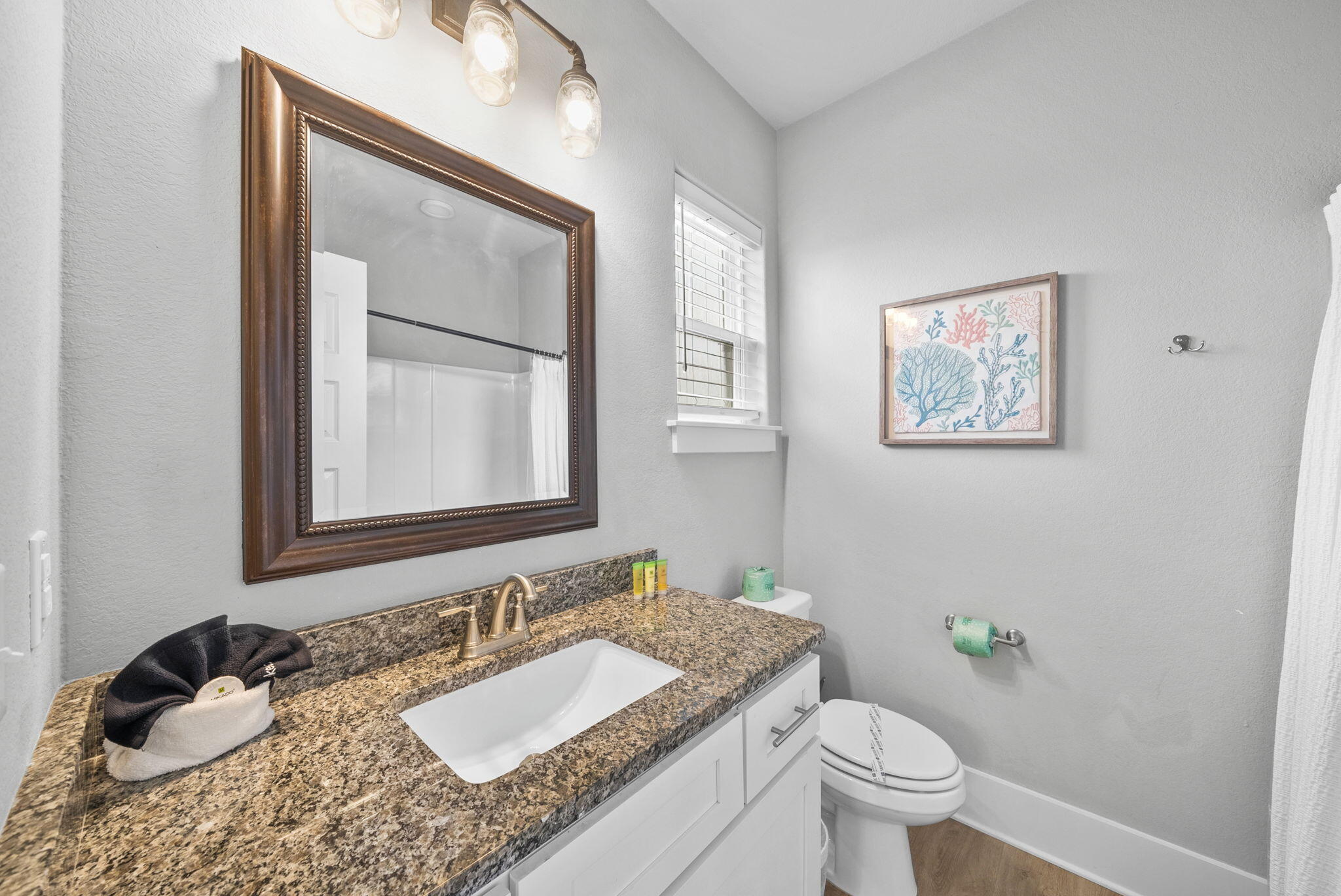 251 Gulfview Circle Santa Rosa Beach FL 32459