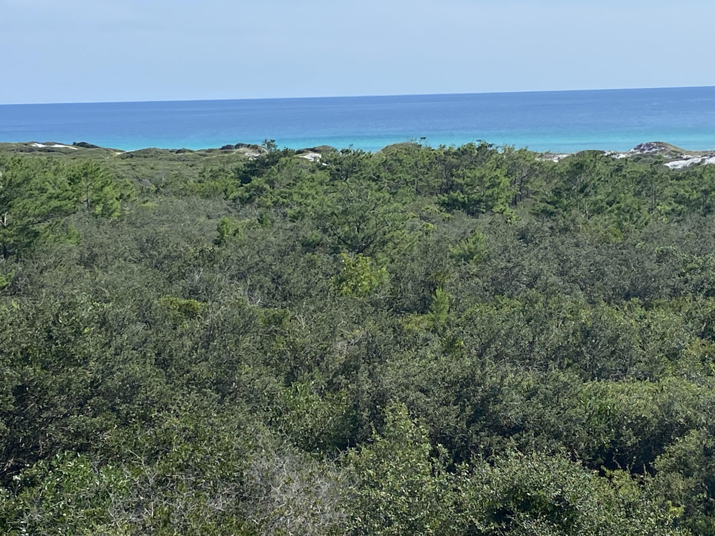 255 Cypress Drive Santa Rosa Beach FL 32459