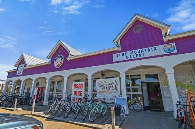40 Flounder Street Santa Rosa Beach FL 32459