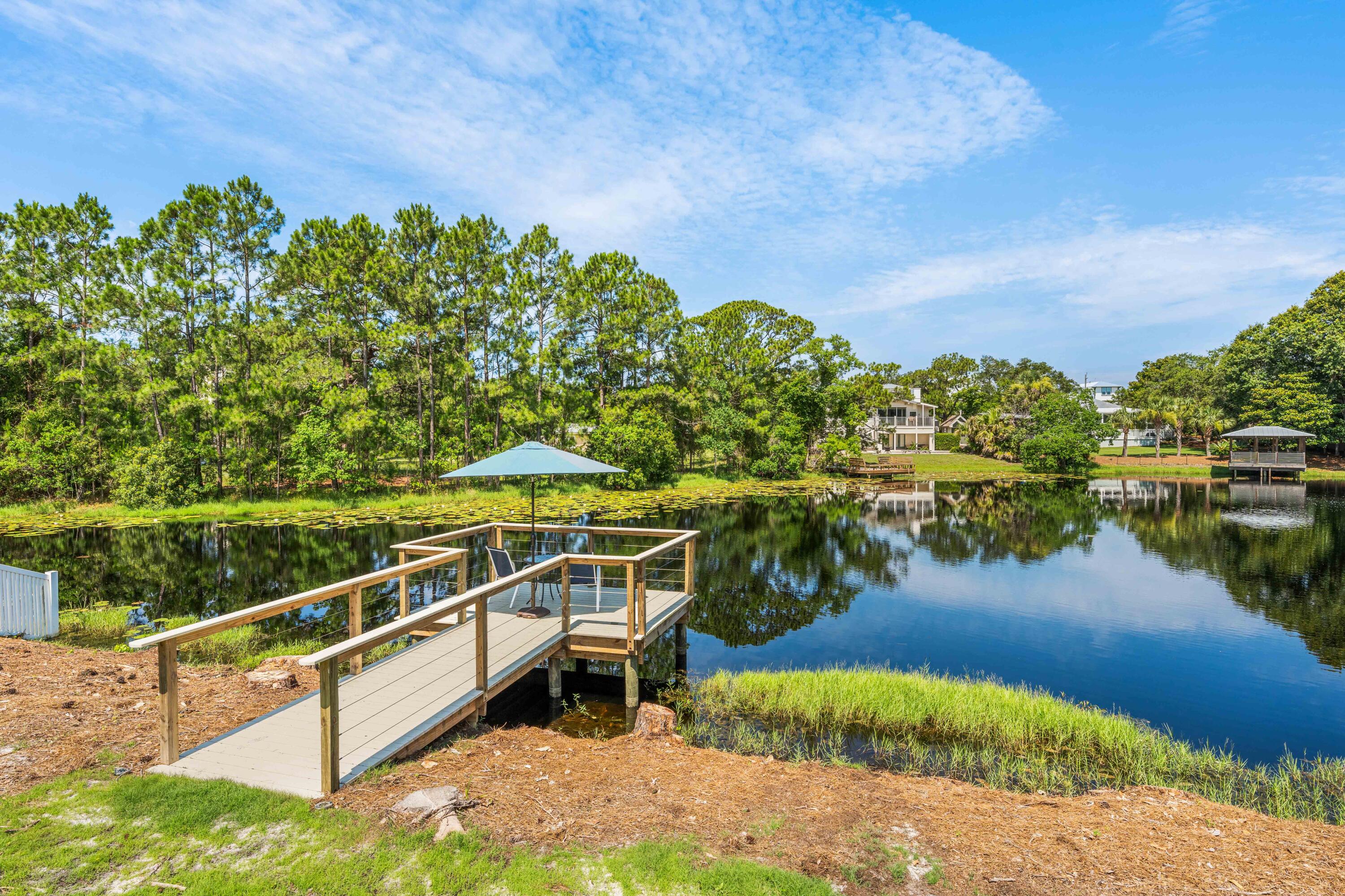 164 Lakeview Beach Drive Miramar Beach FL 32550