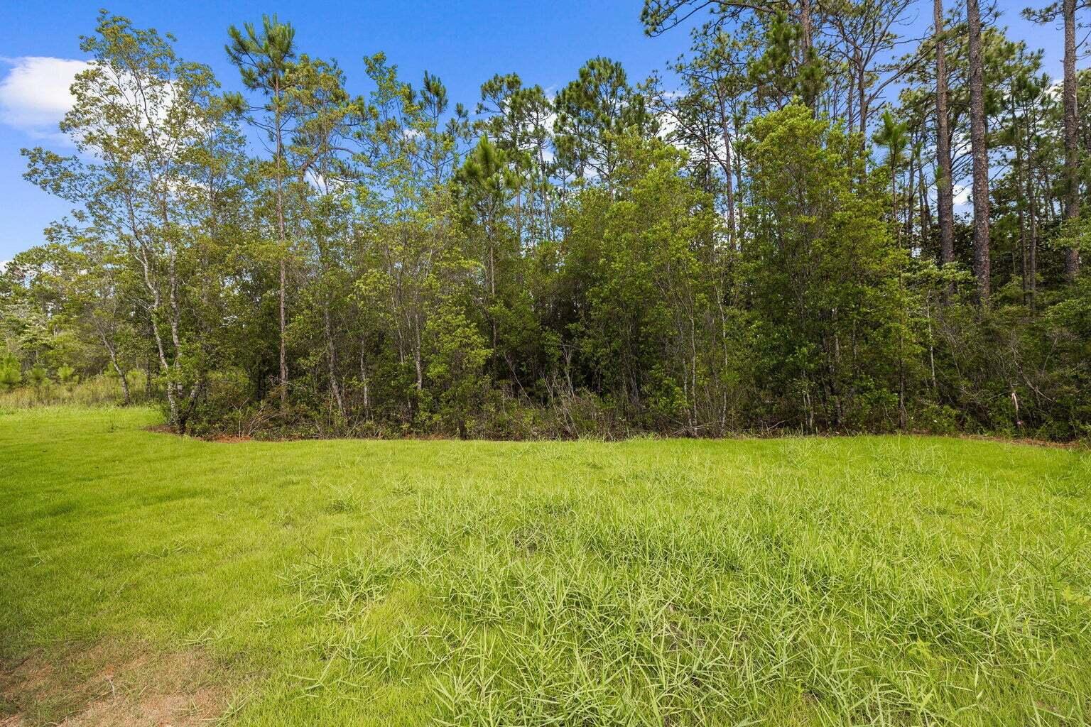 217 Melrose Avenue Santa Rosa Beach FL 32459