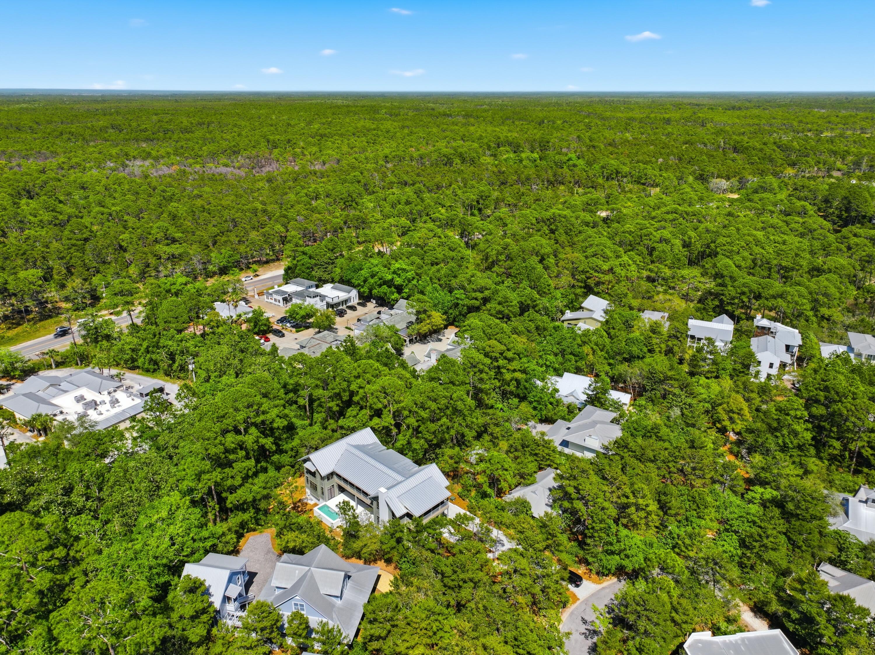 393 Wilderness Way Santa Rosa Beach FL 32459