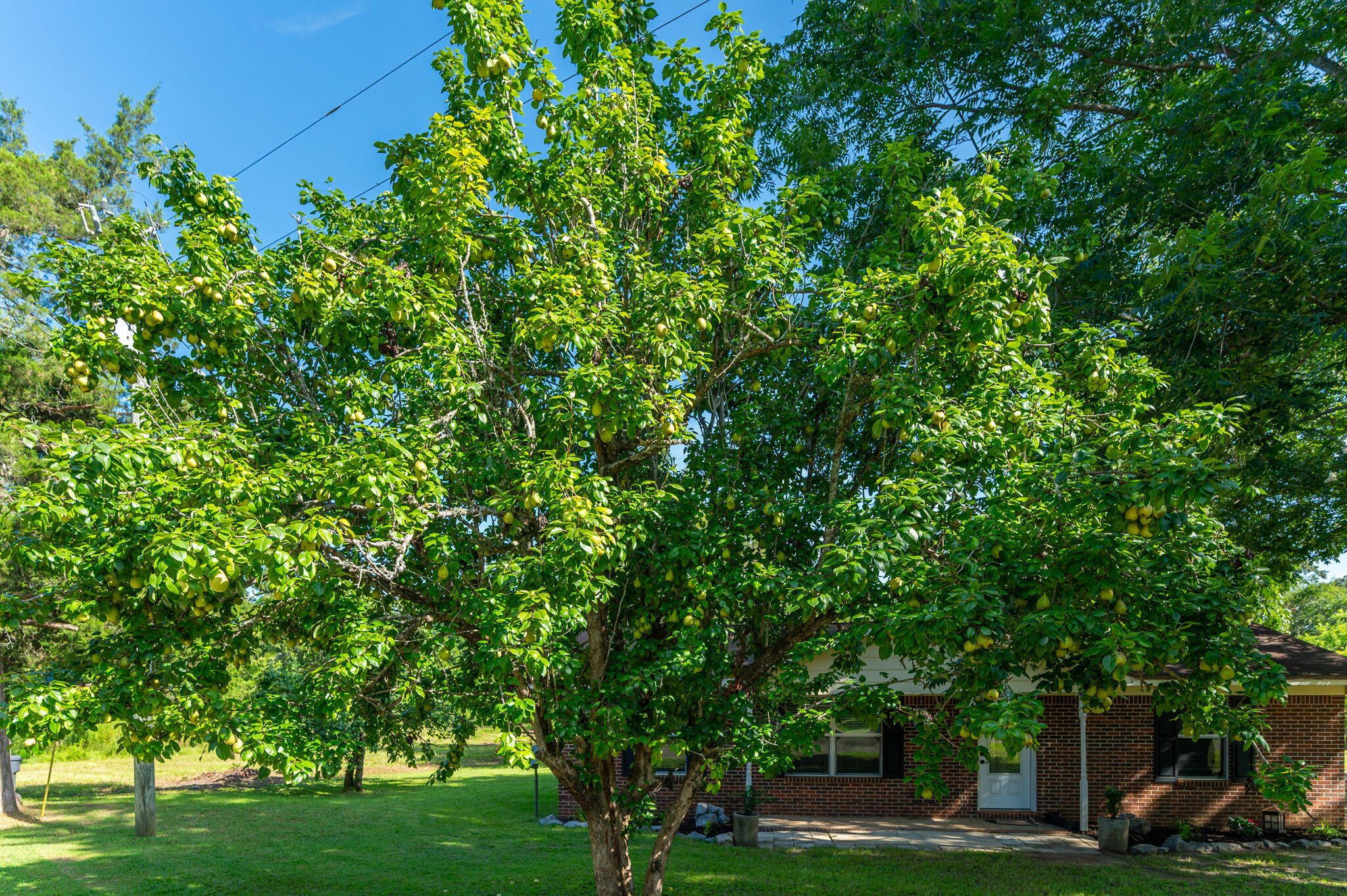 91 North Street Defuniak Springs FL 32433