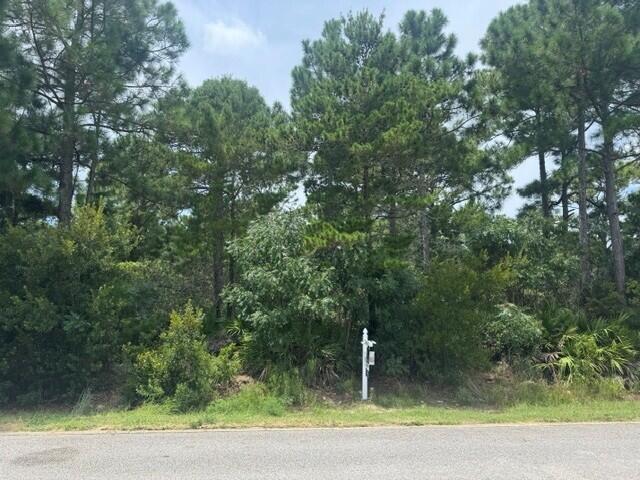 0000 Driftwood Point Road Santa Rosa Beach FL 32459