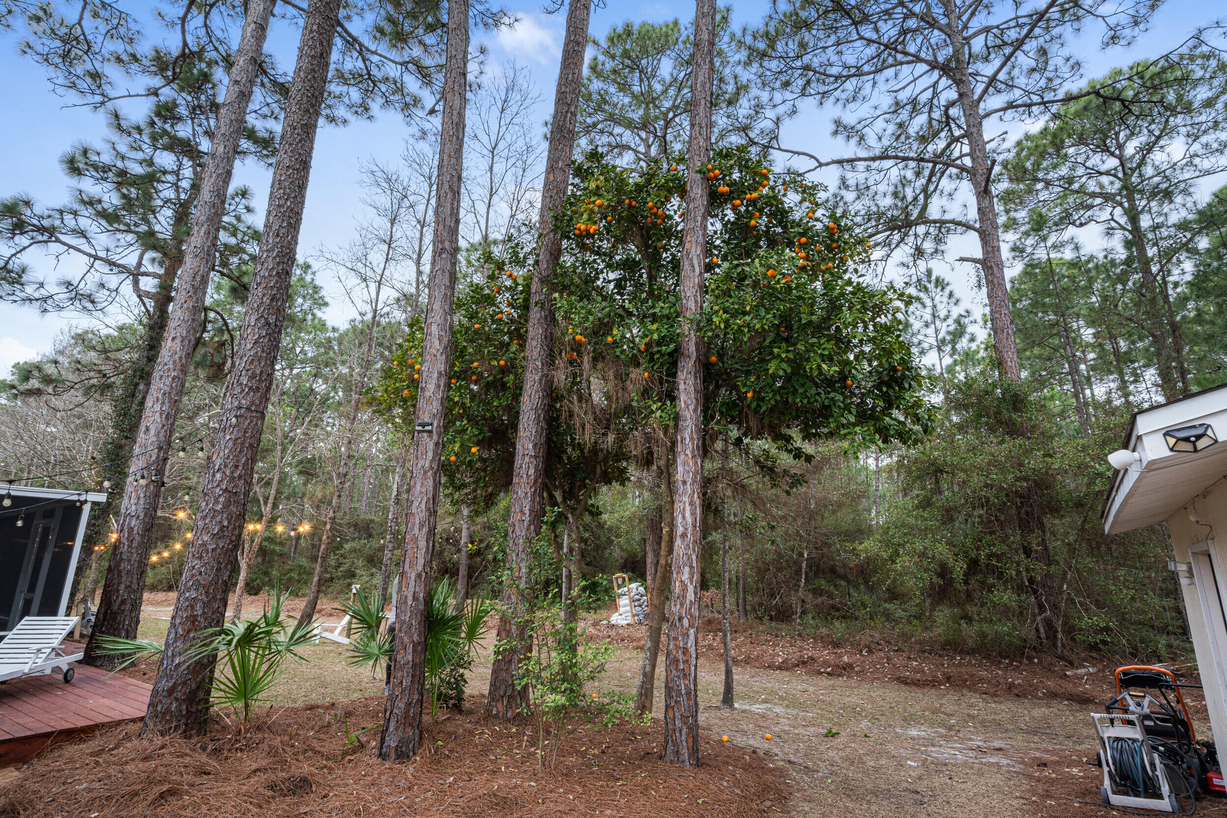 242 Hamon Avenue Santa Rosa Beach FL 32459