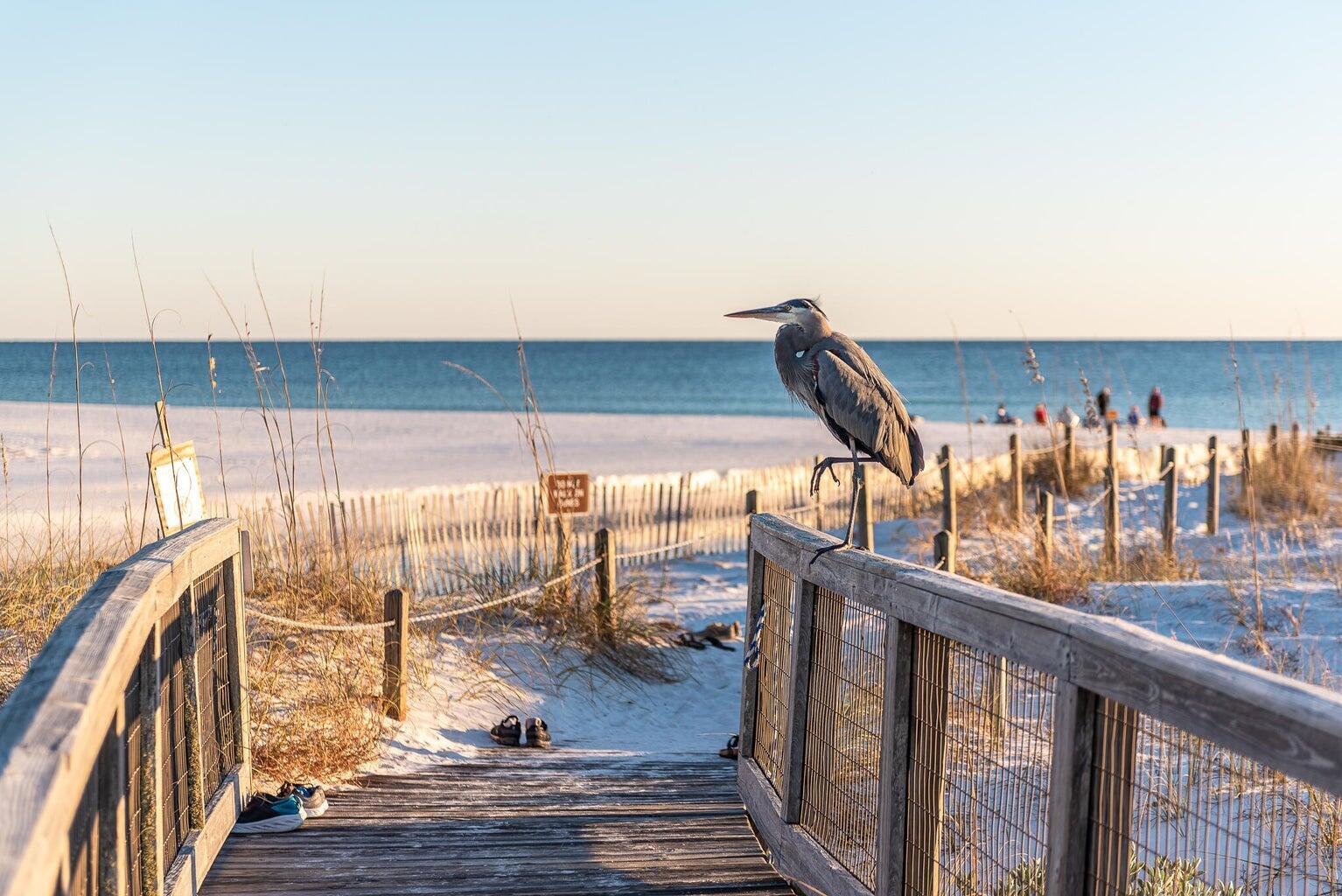 Lot 188 Sextant Lane Santa Rosa Beach FL 32459
